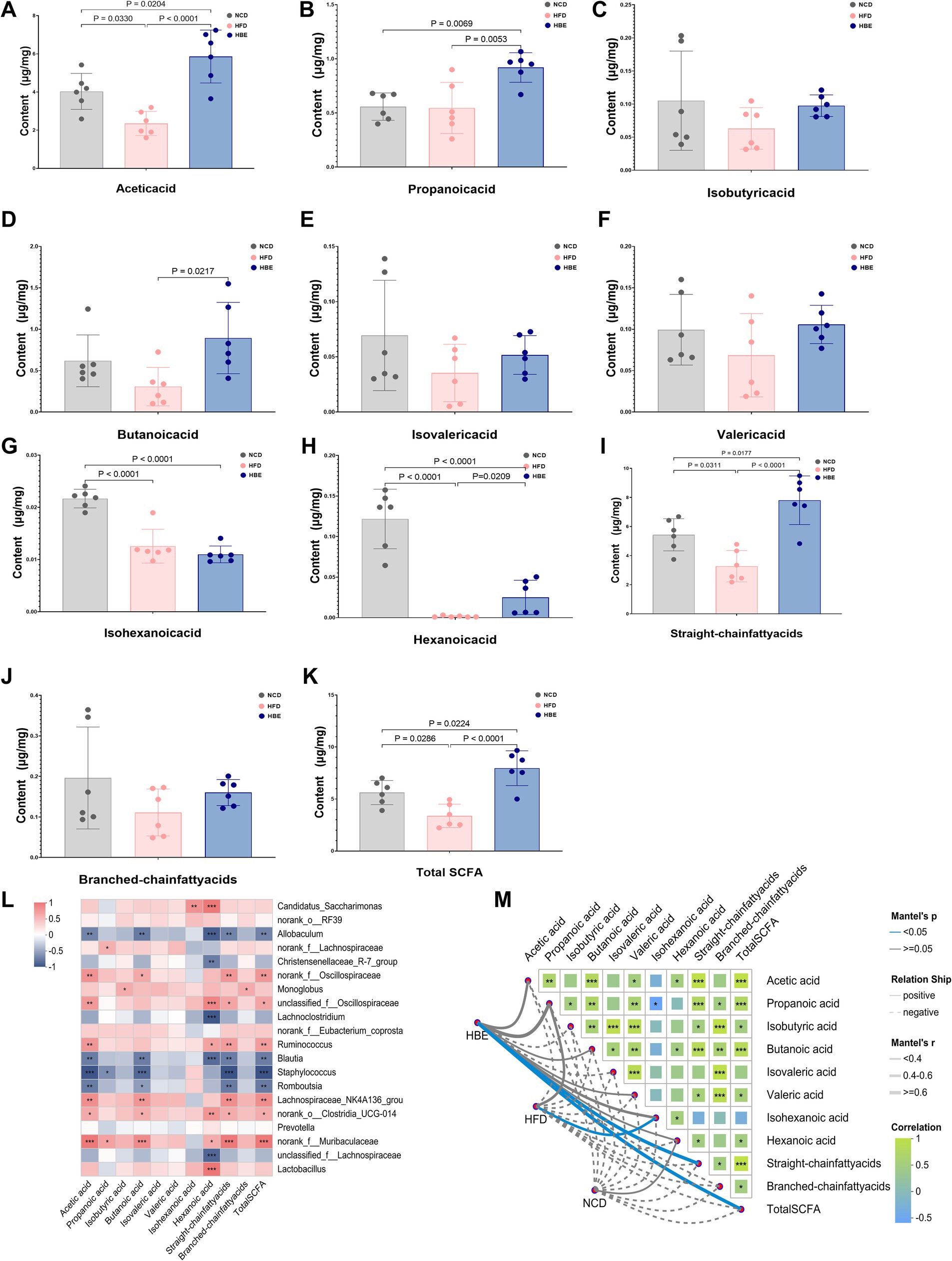 Eleven bar graphs labeled A to K show concentrations of different fatty acids including acetic, propanoic, and hexanoic acids across three diet groups: NCD, HFD, and HBE. Significant p-values indicate differences between groups. L: A heatmap displays correlations between bacterial genera and various fatty acids. M: A network diagram shows relationships and correlations between fatty acids and diet groups, with colors indicating correlation strength.