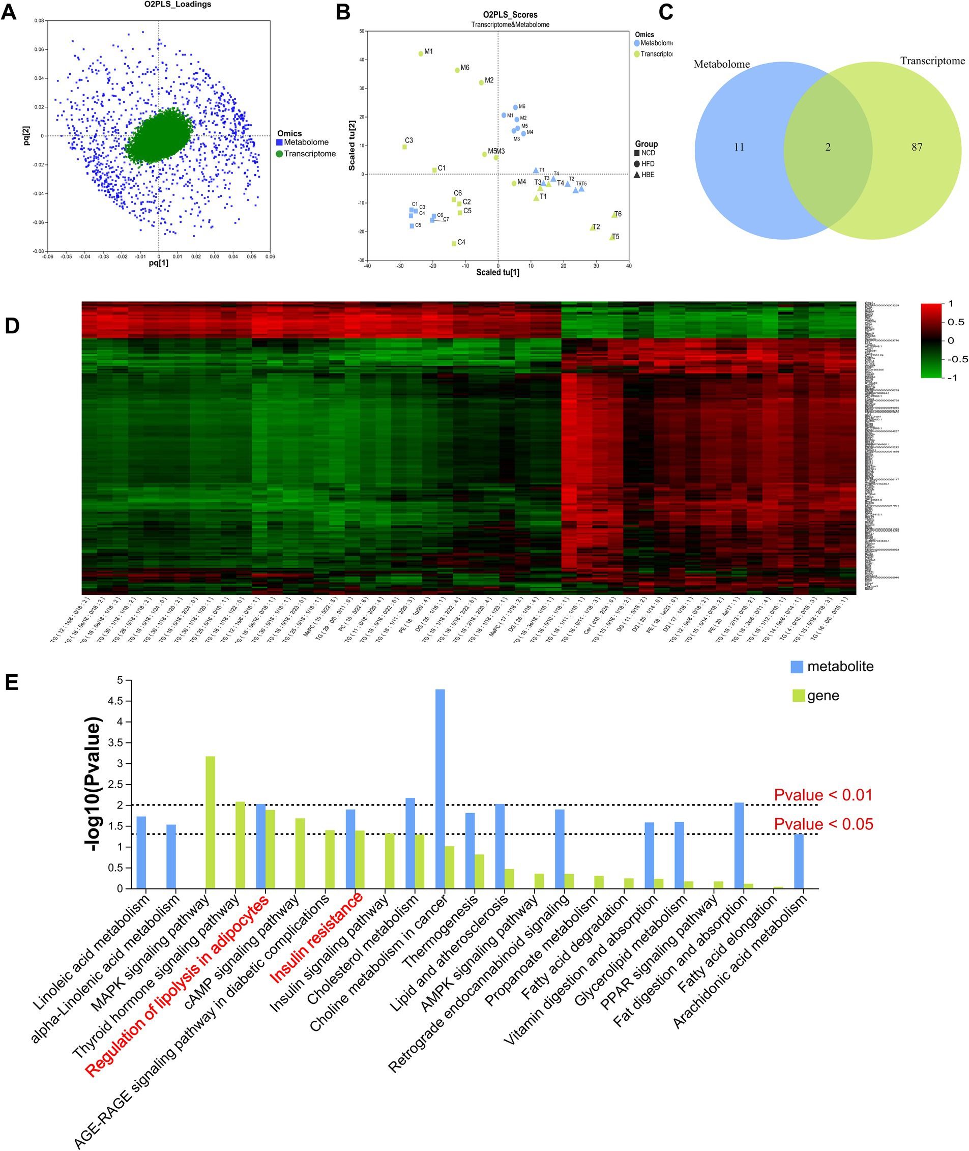 Composite image showing multiple scientific data visualizations: A) Scatter plot of O2PLS loadings with blue and green points. B) O2PLS scores plot for transcriptome and metabolome with scaled variables. C) Venn diagram showing overlap between metabolome and transcriptome. D) Heatmap displaying gene expression levels with red and green color gradient. E) Bar graph of pathways with metabolites in blue and genes in green, indicating significance levels with red horizontal lines.