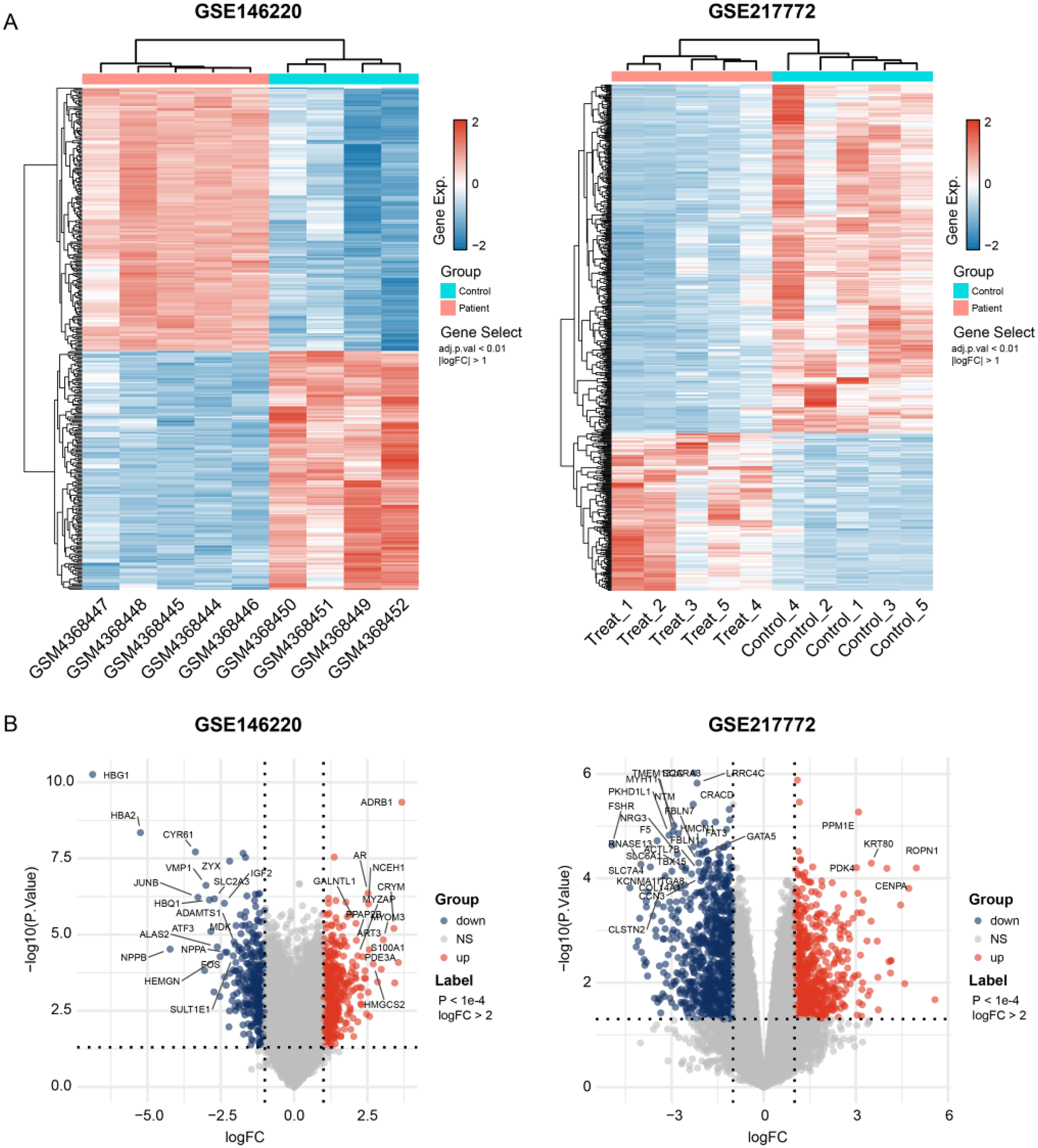 Two panels display gene expression data. Panel A shows heatmaps for GSE146220 and GSE217772 datasets, with samples categorized as control or patient for GSE146220, and treatment or control for GSE217772. Colors range from blue to red, indicating low to high expression. Panel B presents volcano plots for GSE146220 and GSE217772, illustrating -log10 P-value against log fold change. Points are colored by up or down regulation. Labeled genes in both panels highlight significant expression changes.