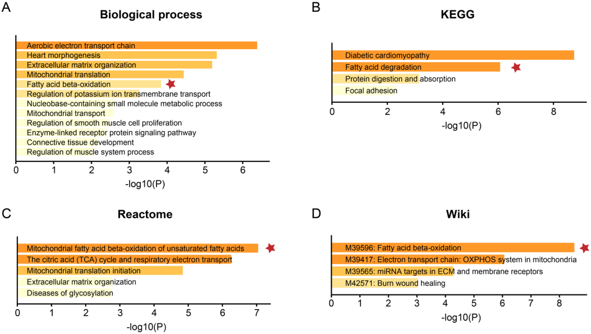 Biological pathway enrichment analysis results presented in four bar graphs labeled A to D. Graph A shows \"Biological process\" with the top pathway as \"Aerobic electron transport chain.\" Graph B, labeled \"KEGG,\" highlights \"Diabetic cardiomyopathy.\" Graph C, \"Reactome,\" emphasizes \"Mitochondrial fatty acid beta-oxidation of unsaturated fatty acids.\" Graph D, \"Wiki,\" focuses on \"M39596: Fatty acid beta-oxidation.\" Red stars mark notable pathways. X-axes represent -log10(P) values.