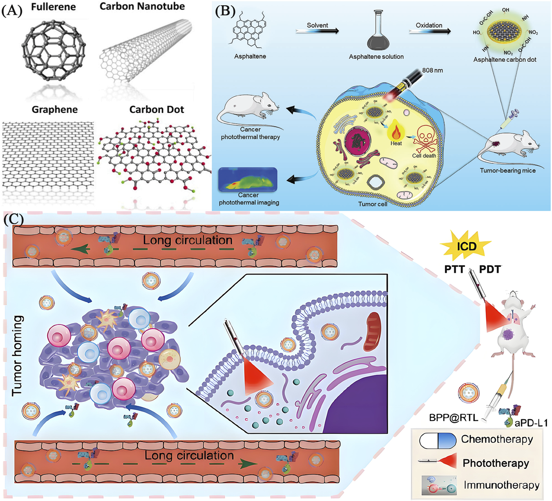 Diagram depicting three sections: (A) shows structures like fullerene, carbon nanotube, graphene, and carbon dot. (B) illustrates asphaltene-based cancer therapy, involving photothermal therapy and imaging in mice, highlighting tumor cell treatment. (C) details long circulation, tumor homing, and combined chemotherapy, phototherapy, and immunotherapy processes, indicating mechanisms of drug delivery and immune response in cancer treatment.