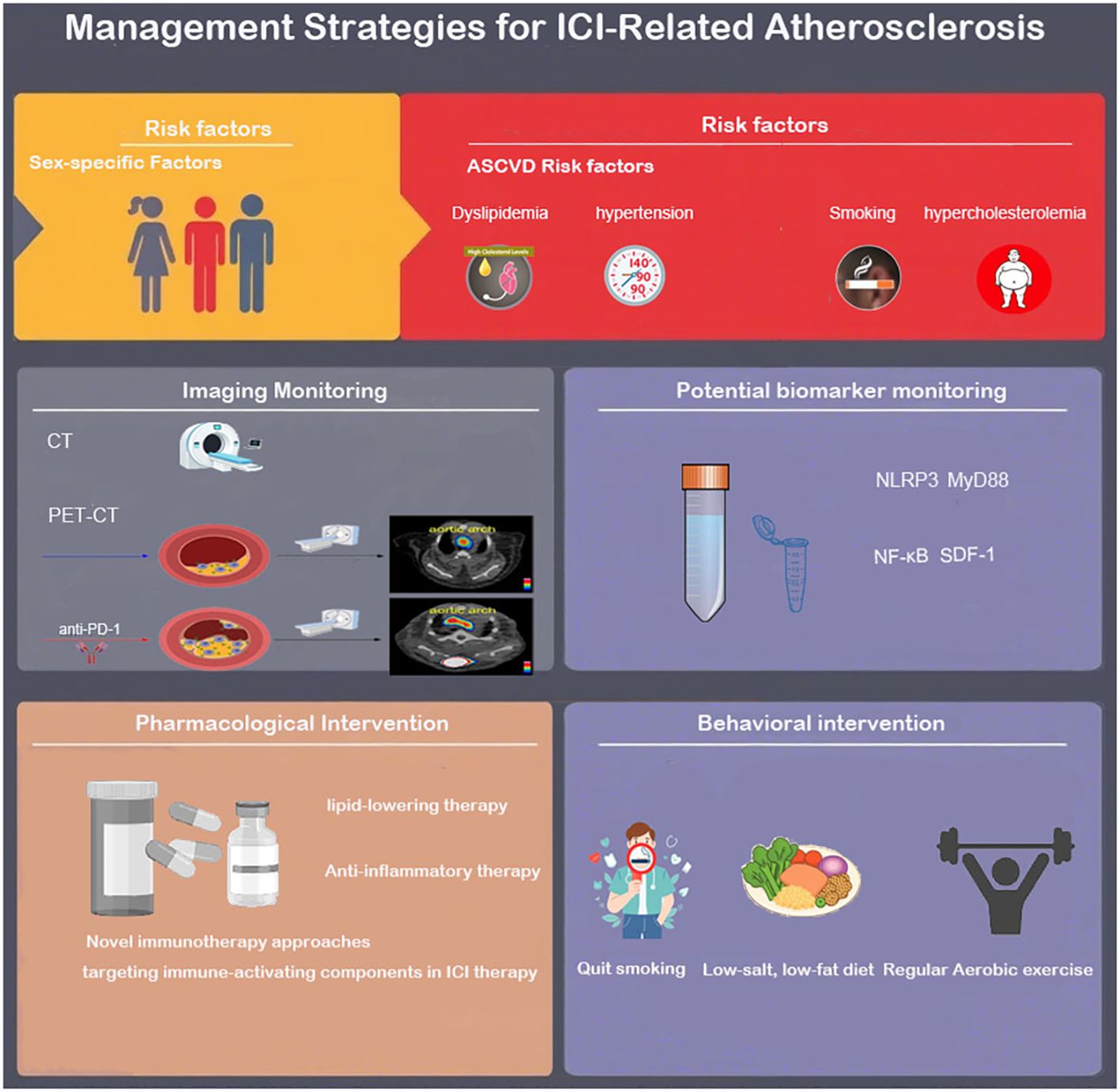 Management strategies for ICI-related atherosclerosis are depicted in a chart divided into risk factors, imaging monitoring, potential biomarker monitoring, pharmacological intervention, and behavioral intervention. Risk factors include sex-specific factors and ASCVD. Imaging uses CT and PET-CT. Biomarkers include NLRP3 and NF-kB. Pharmacological treatment involves lipid-lowering therapy. Behavioral approaches suggest quitting smoking and regular exercise.
