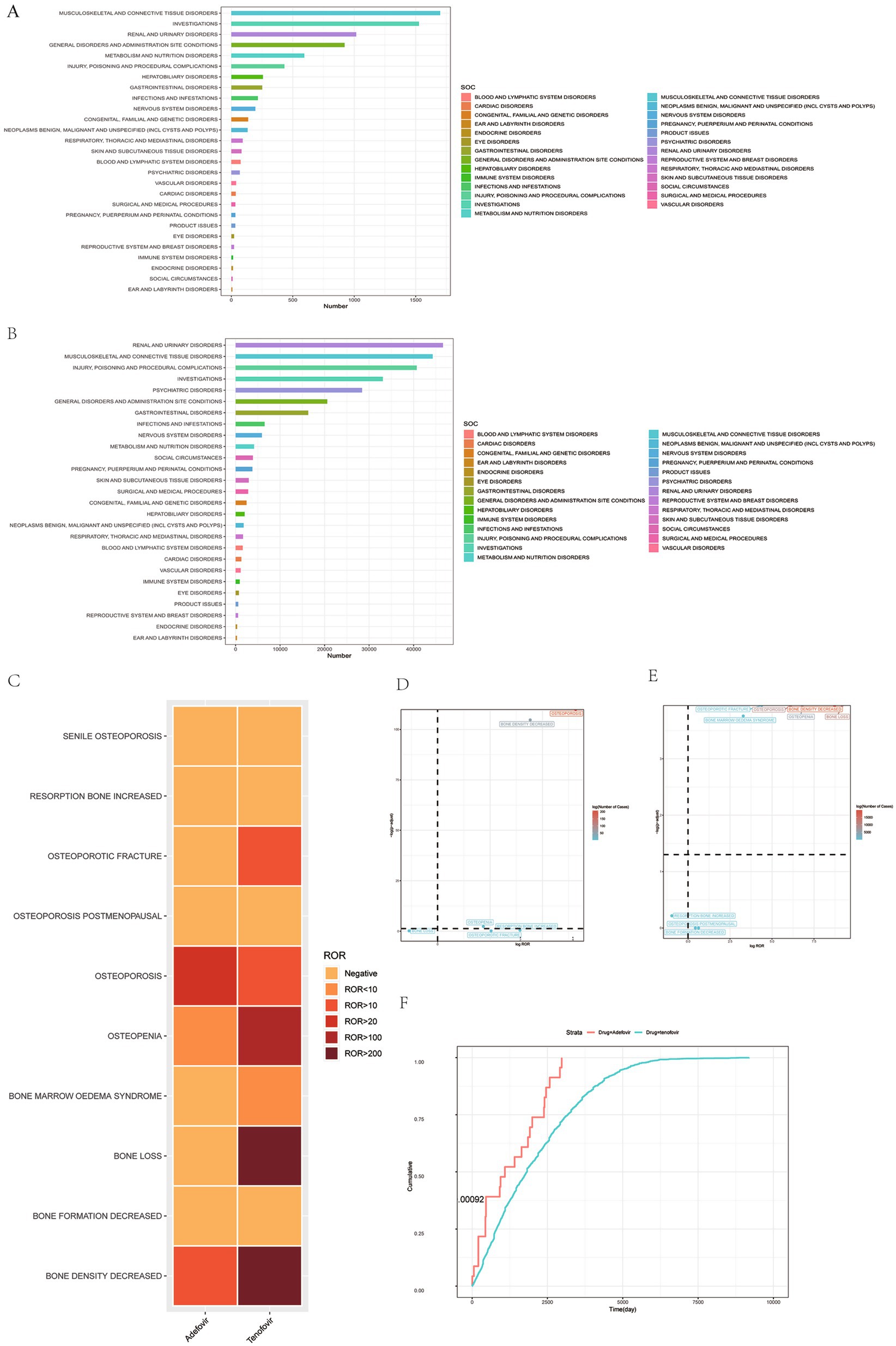 Figure A and B show bar charts of various disorders categorized by System Organ Class (SOC) and their frequency numbers. Figure C is a heatmap displaying the association between different bone conditions and the Reporting Odds Ratio (ROR), with color intensity representing severity. Figures D and E are bubble plots visualizing log odds versus rcal, highlighting significant clusters. Figure F presents a Kaplan-Meier curve comparing cumulative events over time between two groups labeled