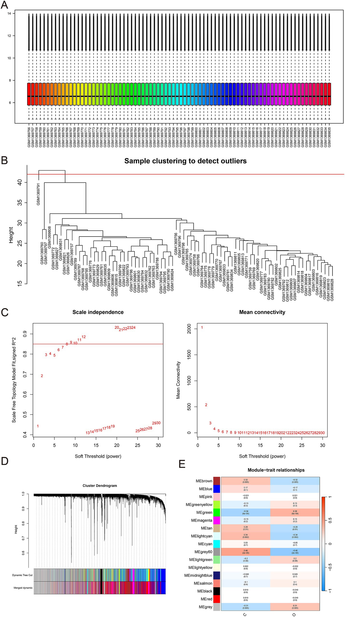 A series of data visualizations for a clustering and analysis project: A. Boxplots of sample data shaded in a gradient spectrum from red to blue, likely representing ranges. B. Dendrogram showing hierarchical clustering, with samples labeled along the x-axis.C. Two graphs depicting scale independence and mean connectivity against soft threshold power, with data points labeled numerically.D. Cluster dendrogram with dynamic tree cut and merged dynamic sections in various colors below.E. Heatmap showing module-trait relationships, with modules listed vertically and color-coded from red to blue, indicating correlation strengths.