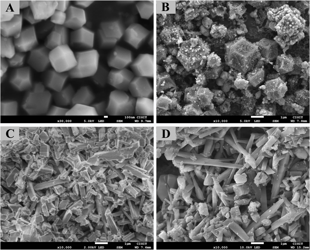 Four scanning electron microscope images labeled A, B, C, and D show different microscopic structures. Image A displays tightly packed, smooth polyhedral particles. Image B shows larger, irregularly shaped particles with rough surfaces. Image C reveals elongated, rod-like structures densely packed together. Image D presents clustered, needle-like structures with varying lengths. All images include technical details such as magnification and voltage settings.
