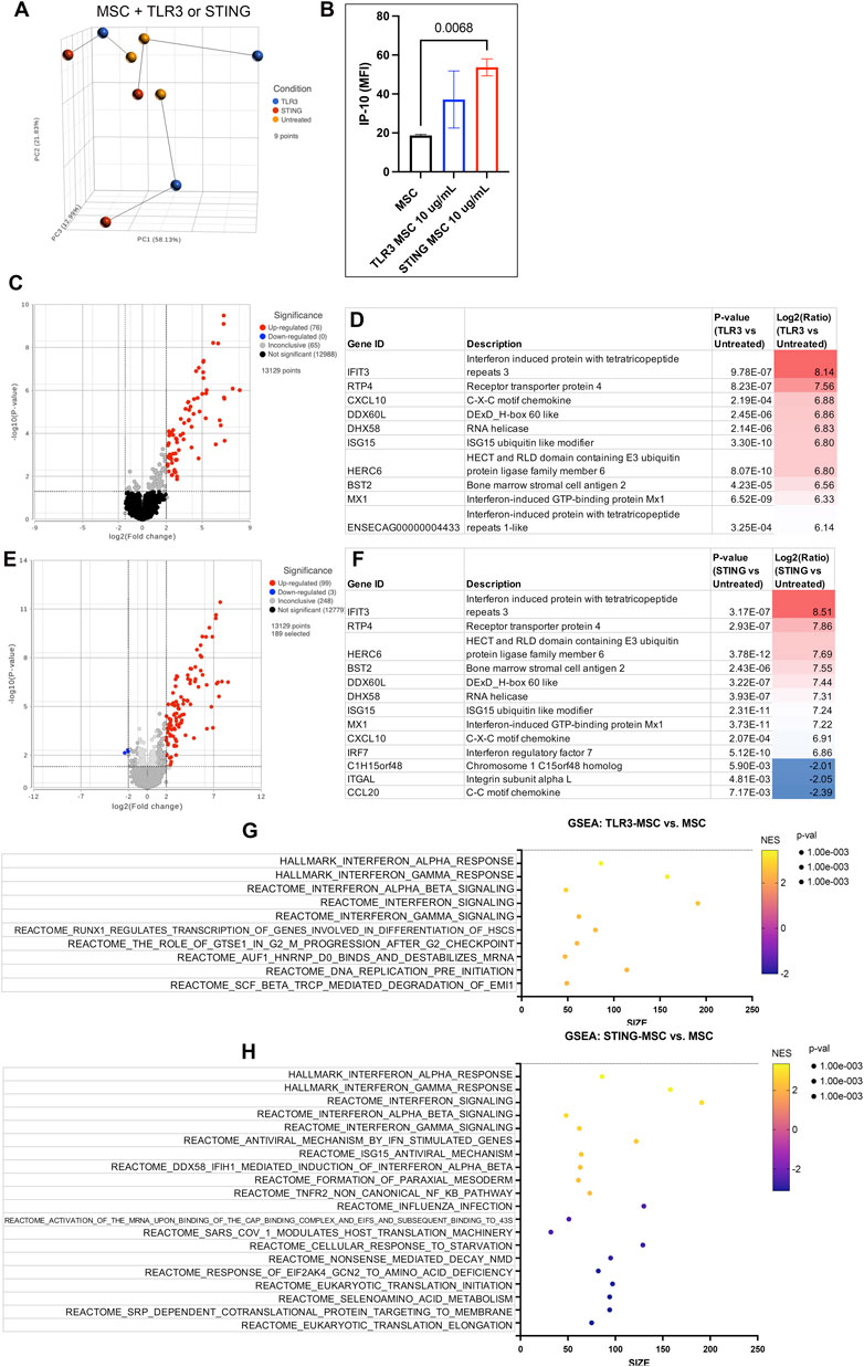 3D scatter plot comparing conditions (MSC, TLR3, STING) and bar graph of IP-10 levels. Volcano plots display gene expression changes for TLR3 and STING. Tables list significantly affected genes with p-values and log ratios. GSEA plots highlight pathways enriched in TLR3-MSC and STING-MSC compared to MSC.