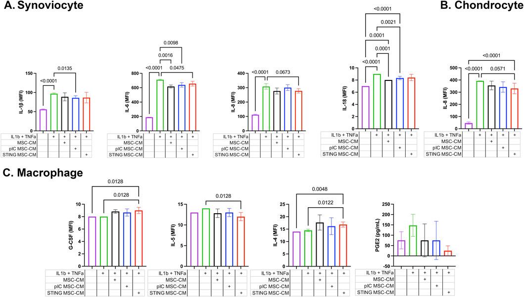 Bar graphs illustrate cytokine and PGE2 levels in synoviocytes, chondrocytes, and macrophages under various treatments. Significant p-values indicate differences in IL-1β, IL-6, IL-8, IL-18, G-CSF, IL-5, IL-4, and PGE2 production. Treatments include IL1b with TNFa, MSC-CM, pIC MSC-CM, and STING MSC-CM. Bars are colored differently for each condition, and error bars show variability.