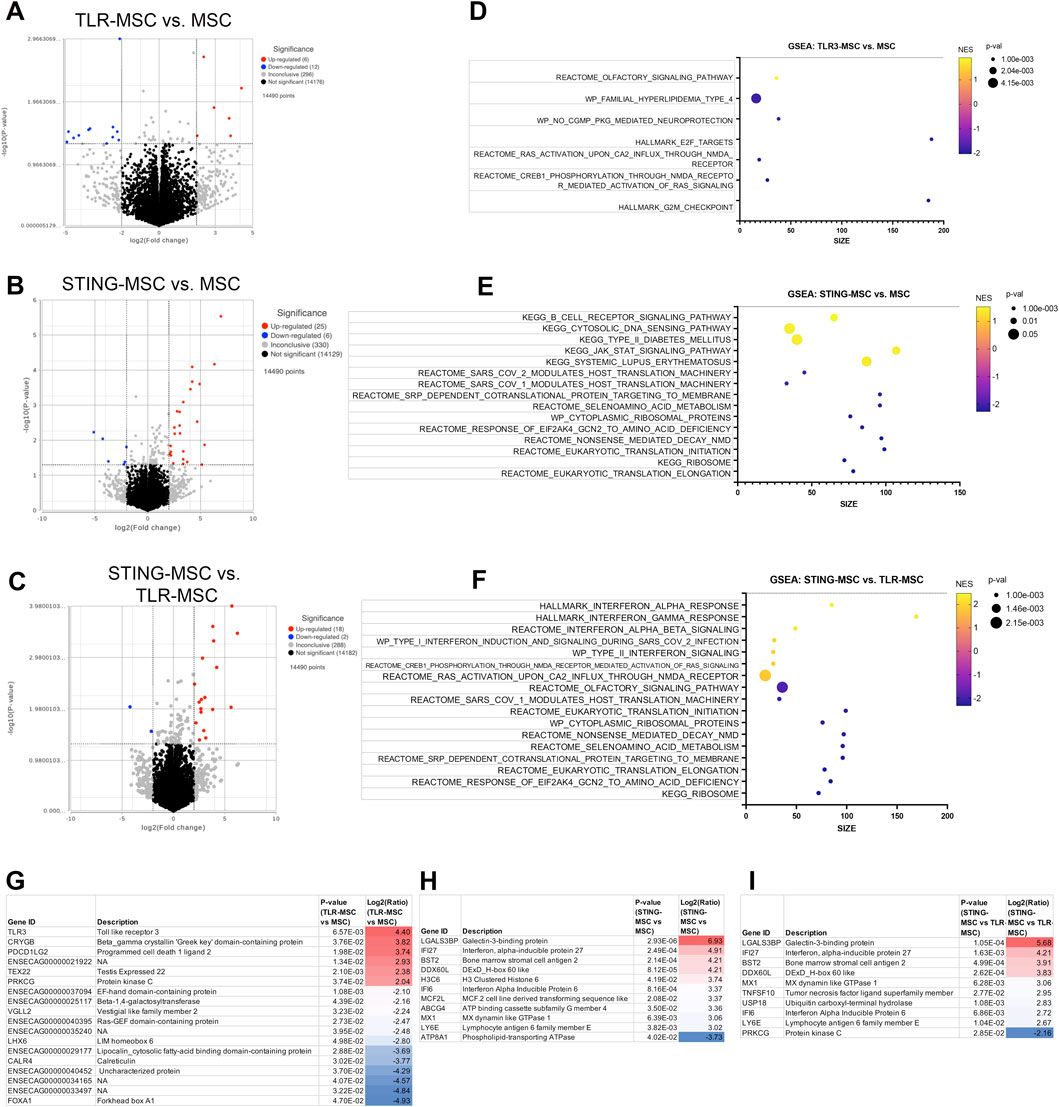 Graphs and tables comparing TLR-MSC, STING-MSC, and MSC. Panels A-C show volcano plots indicating gene significance. Panels D-F present GSEA plots with pathways and NES scores. Panels G-I display tables listing genes, descriptions, p-values, and log ratios.