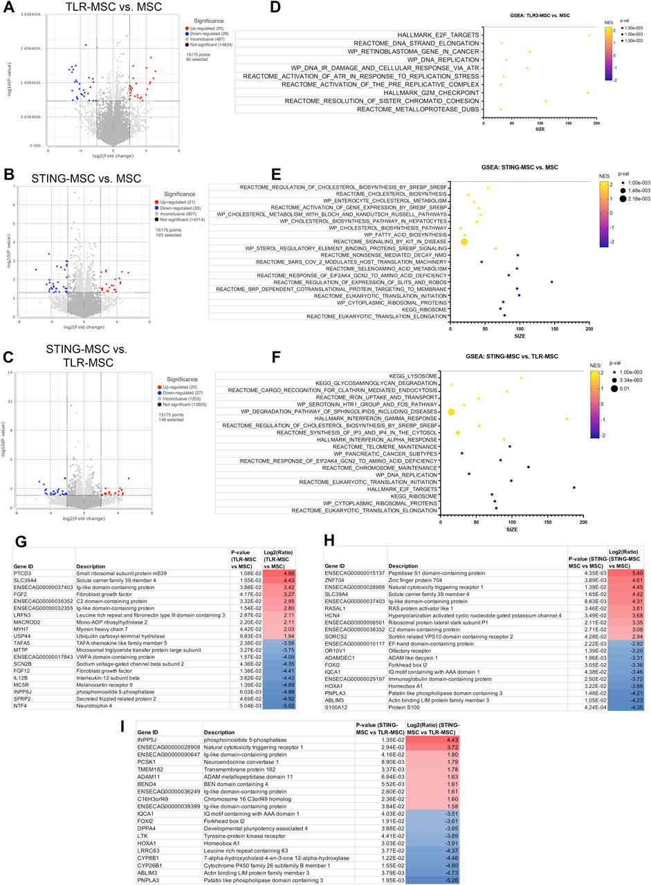 The image contains multiple panels with data visualizations and tables comparing gene expression in various conditions. Panels A, B, and C display volcano plots illustrating differentially expressed genes between TLR-MSC vs. MSC, STING-MSC vs. MSC, and STING-MSC vs. TLR-MSC, respectively. Panels D, E, and F represent GSEA plots analyzing gene set enrichment in the same comparisons, with significance and effect size depicted. Panels G, H, and I include tables listing genes with their descriptions, p-values, and log2 fold changes for each comparison. The image uses color coding to indicate statistical significance and direction of gene expression changes.