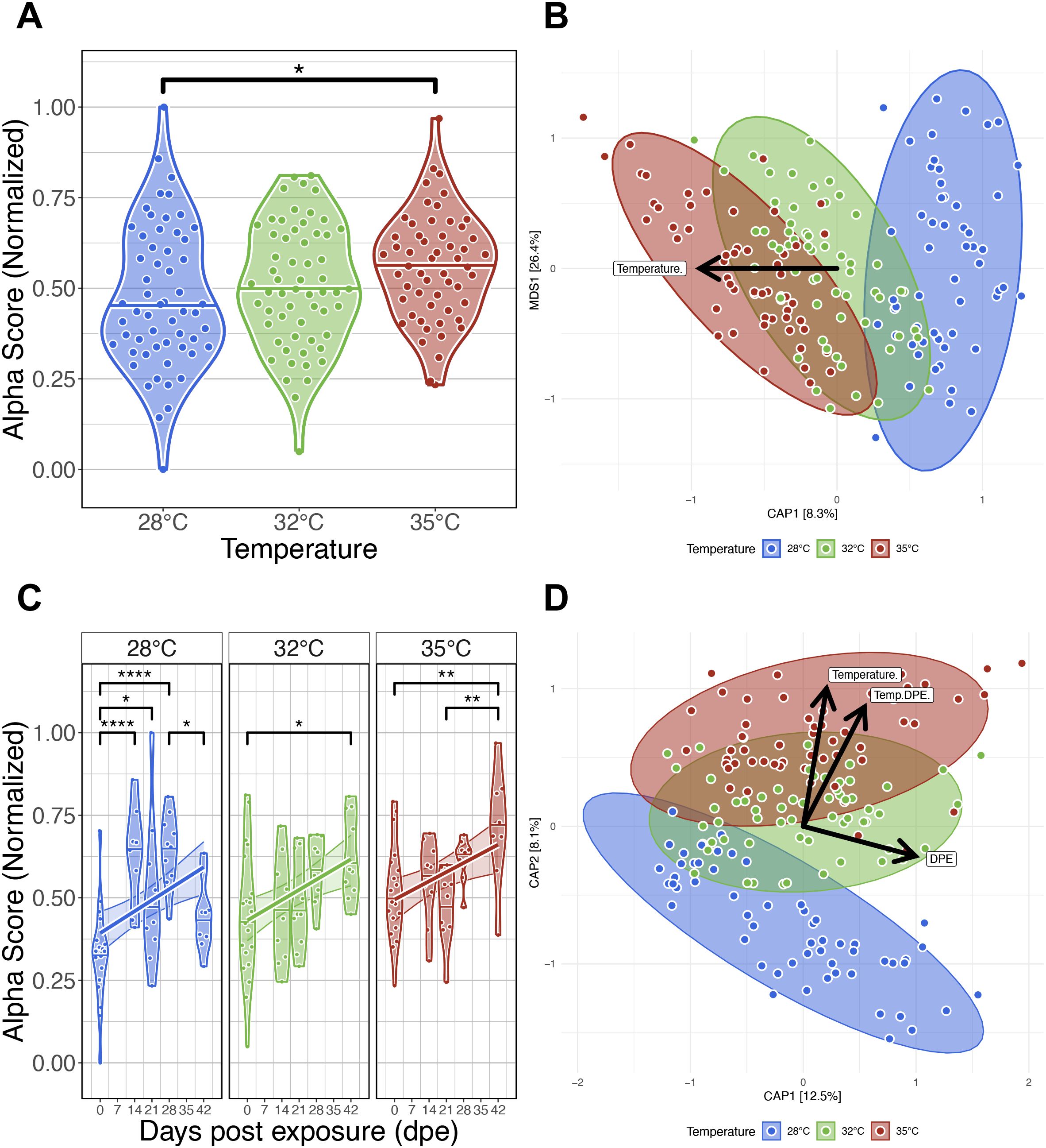 Figure with four panels showing data visualizations related to temperature effects. Panel A: Violin plots display alpha scores at temperatures 28°C, 32°C, and 35°C, indicating statistical differences. Panel B: Scatter plot with CAP analysis illustrates data distribution across temperatures using colored ellipses. Panel C: Violin plots for alpha scores over days post-exposure (dpe) at each temperature, highlighting trends and statistical significance. Panel D: CAP analysis scatter plot shows temperature and days post-exposure influences with arrows indicating correlations.