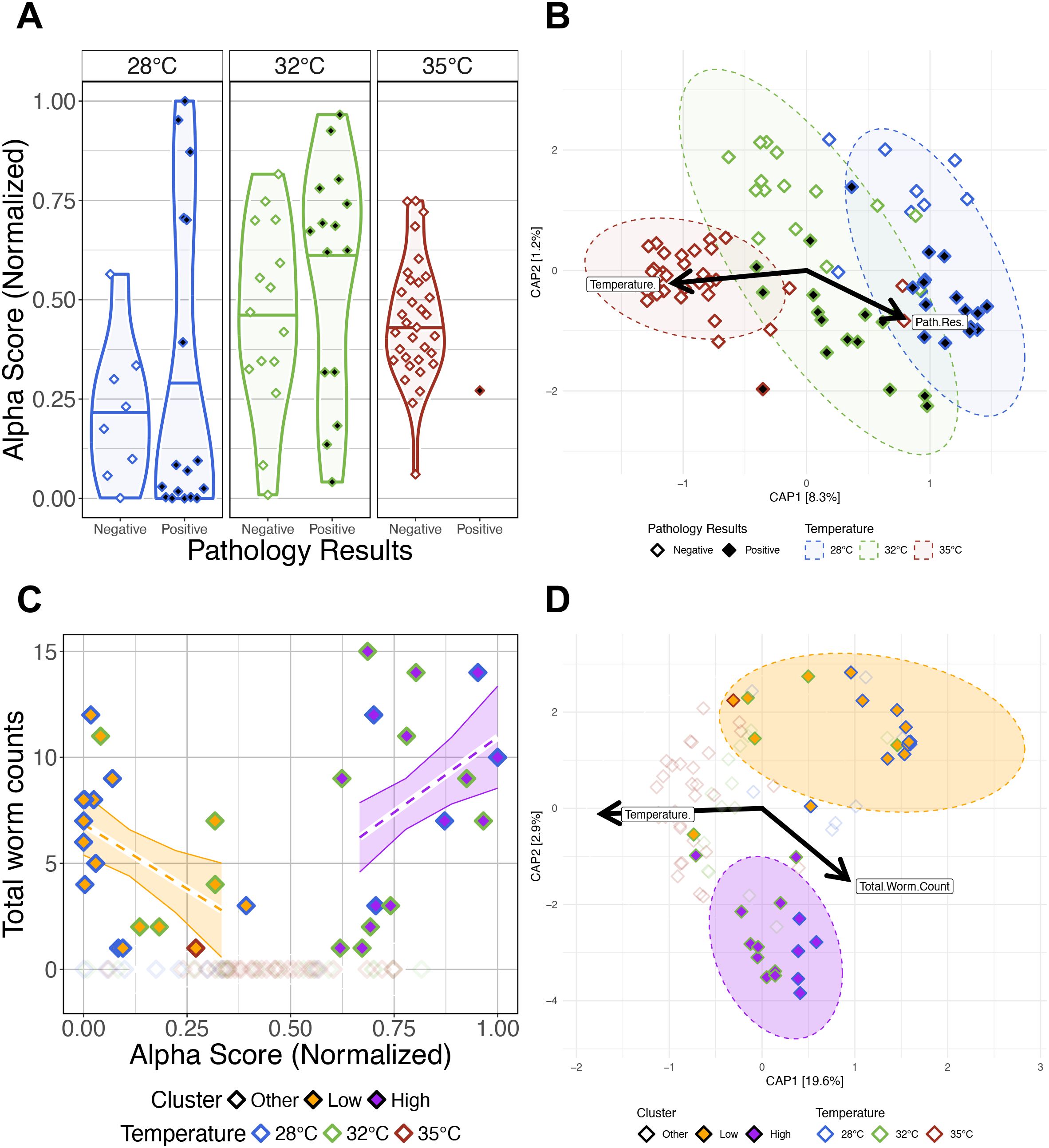 Four panels illustrate data from a study. Panel A shows violin plots of alpha scores by pathology results at three temperatures: 28°C, 32°C, and 35°C. Panel B displays a CAP analysis plot with data points clustered by temperature and pathology results. Panel C features a scatter plot of total worm counts against alpha scores with clusters colored by temperature and labeled as low, high, or other. Panel D presents another CAP analysis plot, depicting clusters based on worm counts at different temperatures, with arrows indicating directions of significant associations.