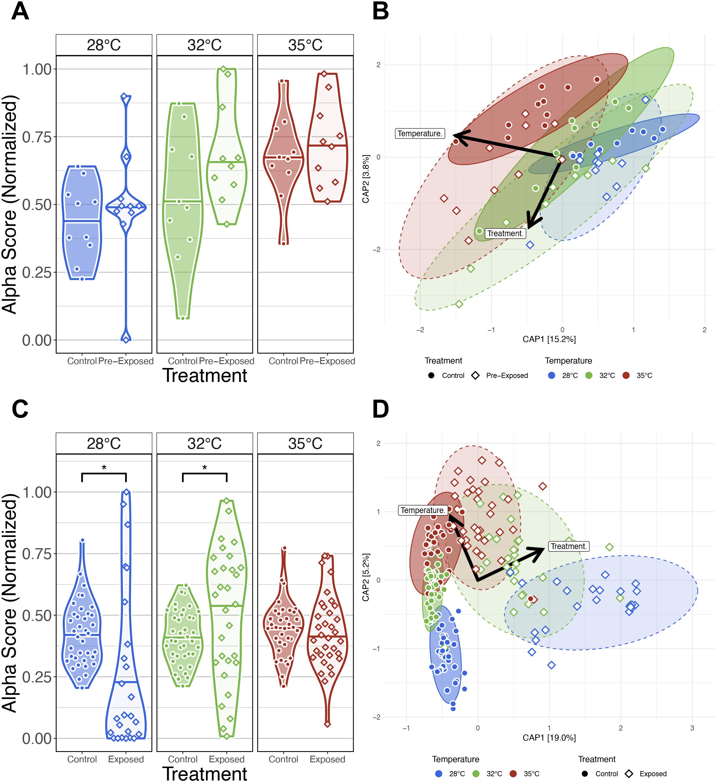 Panel A shows violin plots of alpha scores normalized against three temperatures: 28°C, 32°C, and 35°C, compared between control and pre-exposed groups. Panel B illustrates a scatter plot with CAP1 and CAP2 axes, displaying data from different treatments and temperatures with ellipses representing clusters. Panel C presents violin plots of alpha scores further divided into control and exposed treatments across the same temperatures. Panel D is a scatter plot similar to panel B but categorized by control and exposed treatments, with ellipses illustrating data distribution. Arrows indicate directions for temperature and treatment effects.