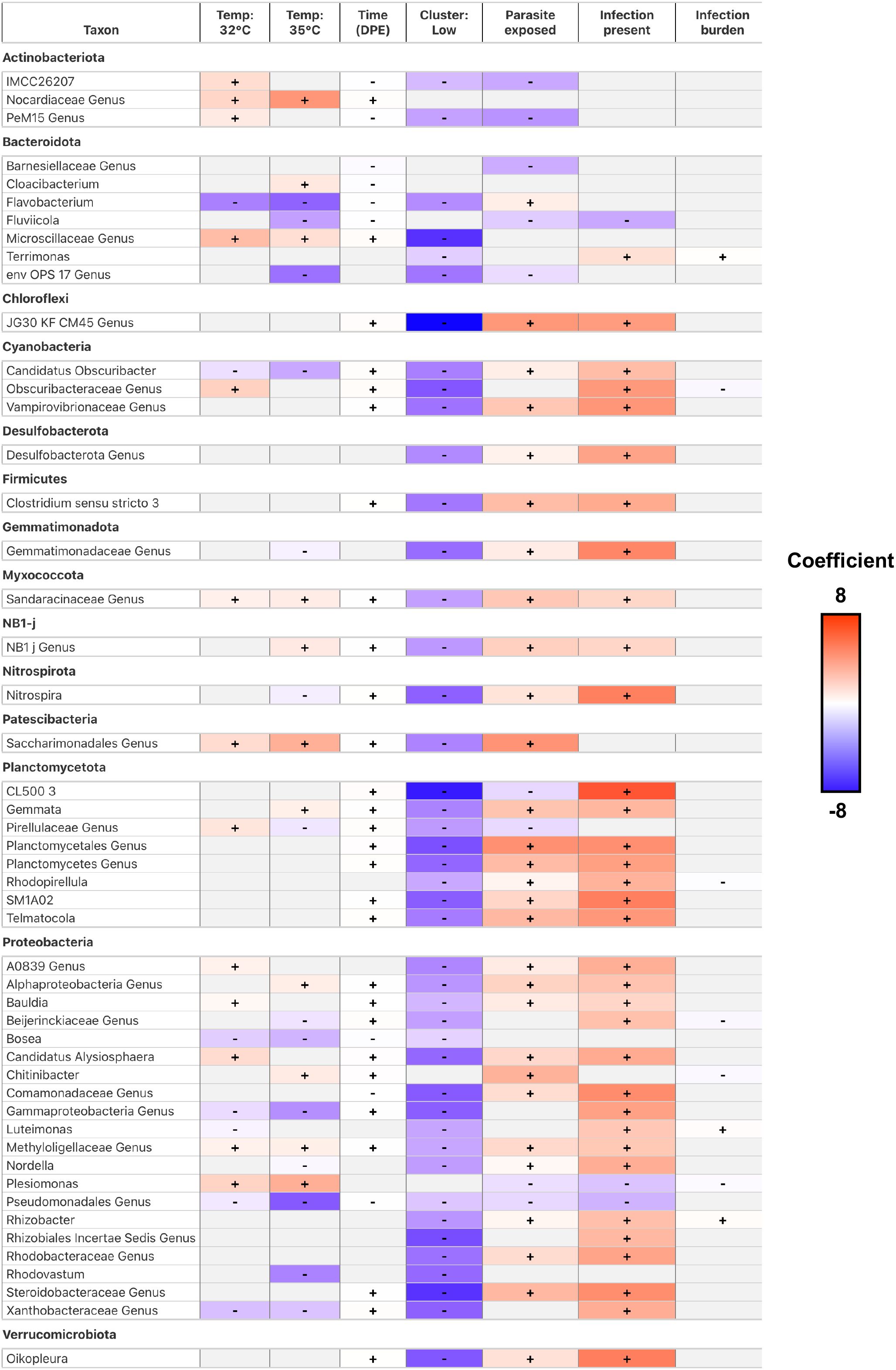 Heat map displaying various taxa and their responses to different conditions such as temperature, time, cluster, parasite exposure, infection presence, and infection burden. Positive and negative correlations are represented with colors ranging from blue (negative) to red (positive), as indicated by the coefficient scale bar on the right. Key taxa include Actinobacteriota, Bacteroidota, Chloroflexi, and others, each showing varying levels of response under distinct conditions.