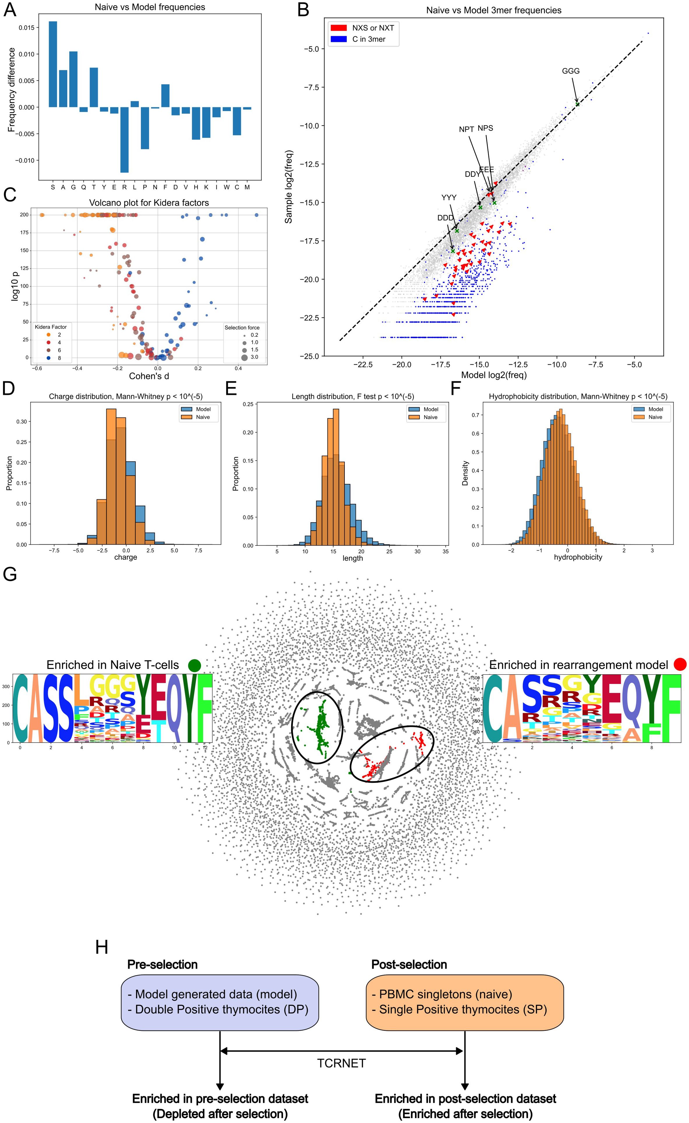 Composite image featuring various charts and graphics analyzing naive versus model frequencies in T-cell studies. Panel A: Bar chart shows frequency differences of amino acids. Panel B: Scatter plot compares naive and model 3mer frequencies, identifying outliers like GGG. Panel C: Volcano plot for Kidera factors, indicating selection forces. Panels D-F: Histograms show charge, length, and hydrophobicity distributions with significant statistical tests. Panel G: Sequence logos for enrichment in naive T-cells and rearrangement models, with a cluster map illustration. Panel H: Flowchart describes pre- and post-selection data enrichment in TCRNET analysis.
