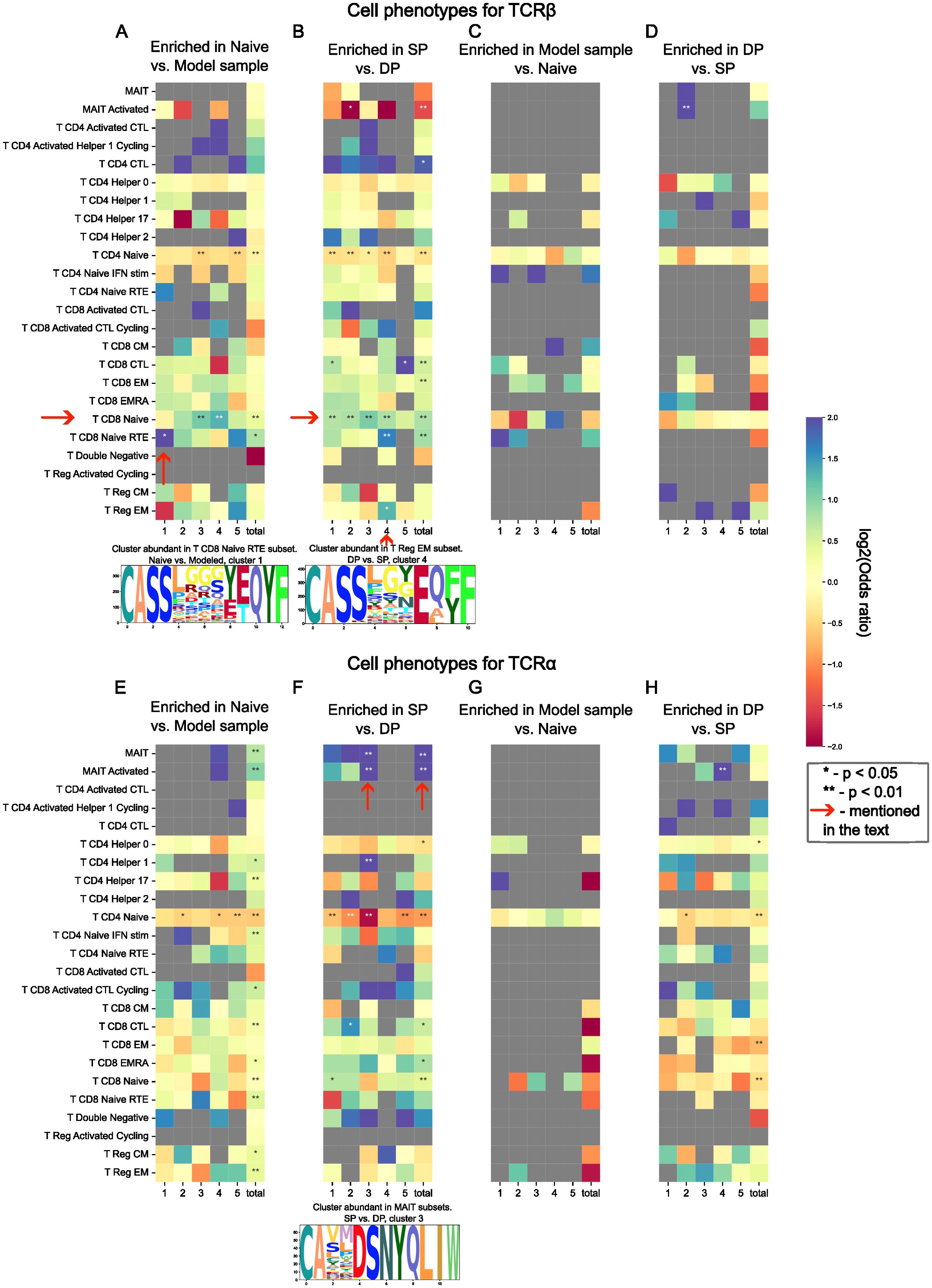 Heatmaps showing cell phenotypes for TCRβ and TCRα across different conditions: Naive vs. Model sample, SP vs. DP, Model sample vs. Naive, and DP vs. SP. The maps illustrate enrichment using log2 odds ratios. Significant differences are marked with asterisks, and features mentioned in the text have red arrows. Color scale ranges from -2.0 (blue) to 2.0 (orange).