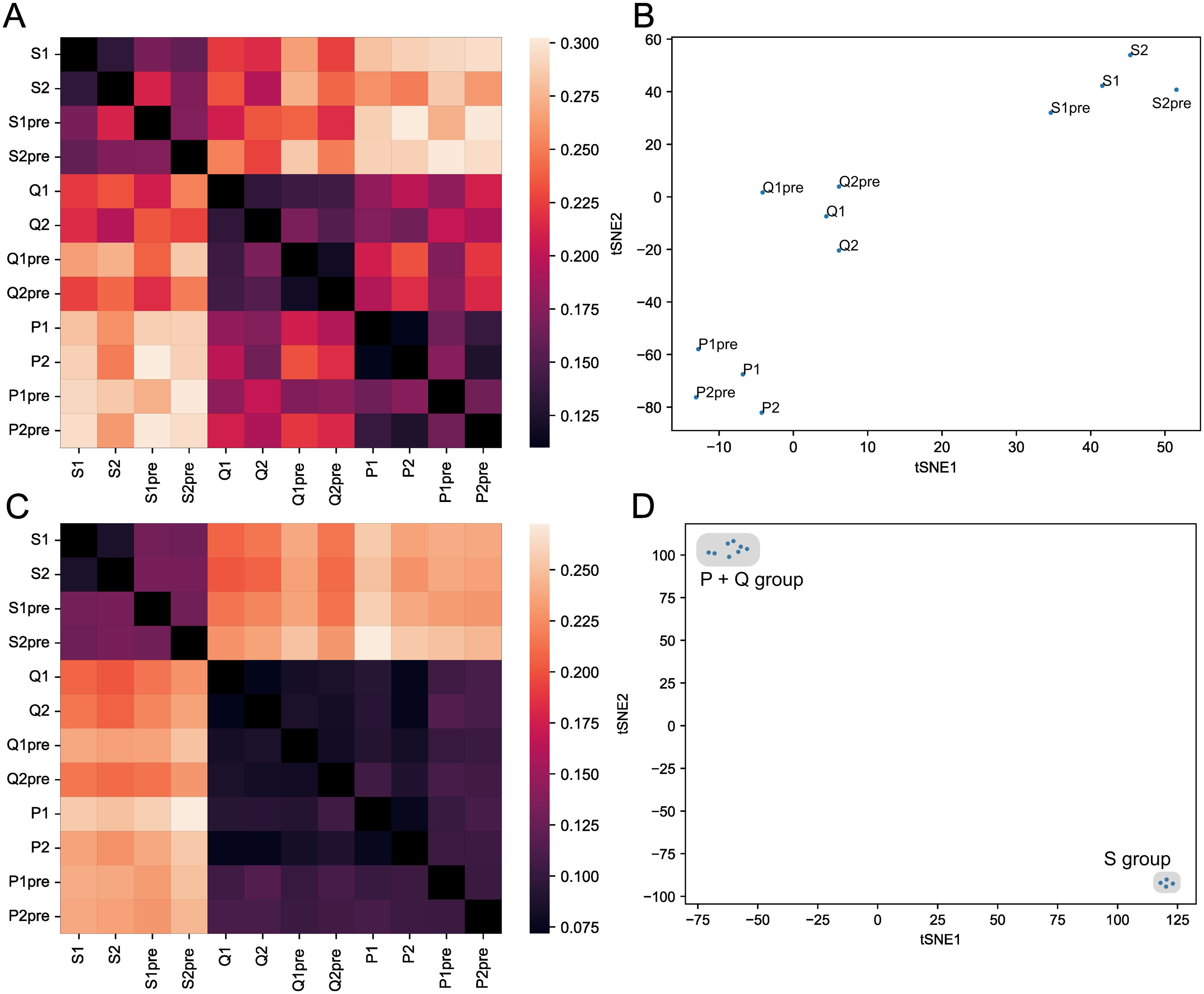 Panel A shows a heatmap with values ranging from 0.125 to 0.300, indicating relationships among variables labeled S1, S2, Q1, and P1, among others. Panel B presents a t-SNE scatter plot with clusters labeled S and Q. Panel C displays another heatmap with values from 0.075 to 0.250, similar variables as in Panel A. Panel D features a t-SNE scatter plot with clusters labeled P + Q group and S group.