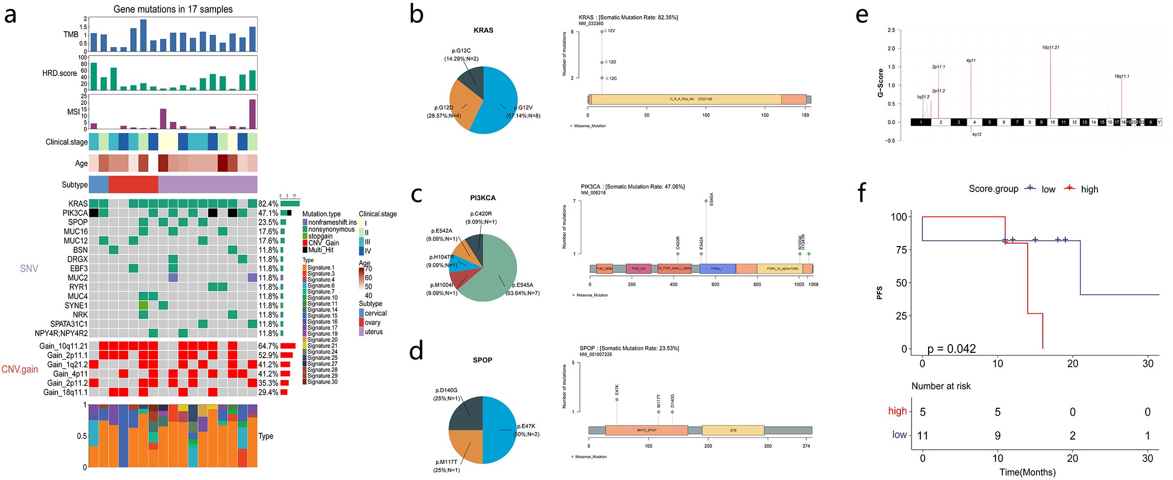 Gene mutation analysis in sixteen samples includes a heatmap and various charts. Panel a shows mutation types and clinical stages. Panels b, c, and d display pie charts and histograms for KRAS, PIK3CA, and SPOP mutation frequencies. Panel e features a G-Score plot for genomic alterations, and panel f presents a progression-free survival Kaplan-Meier plot with high and low score groups distinguished by colors.