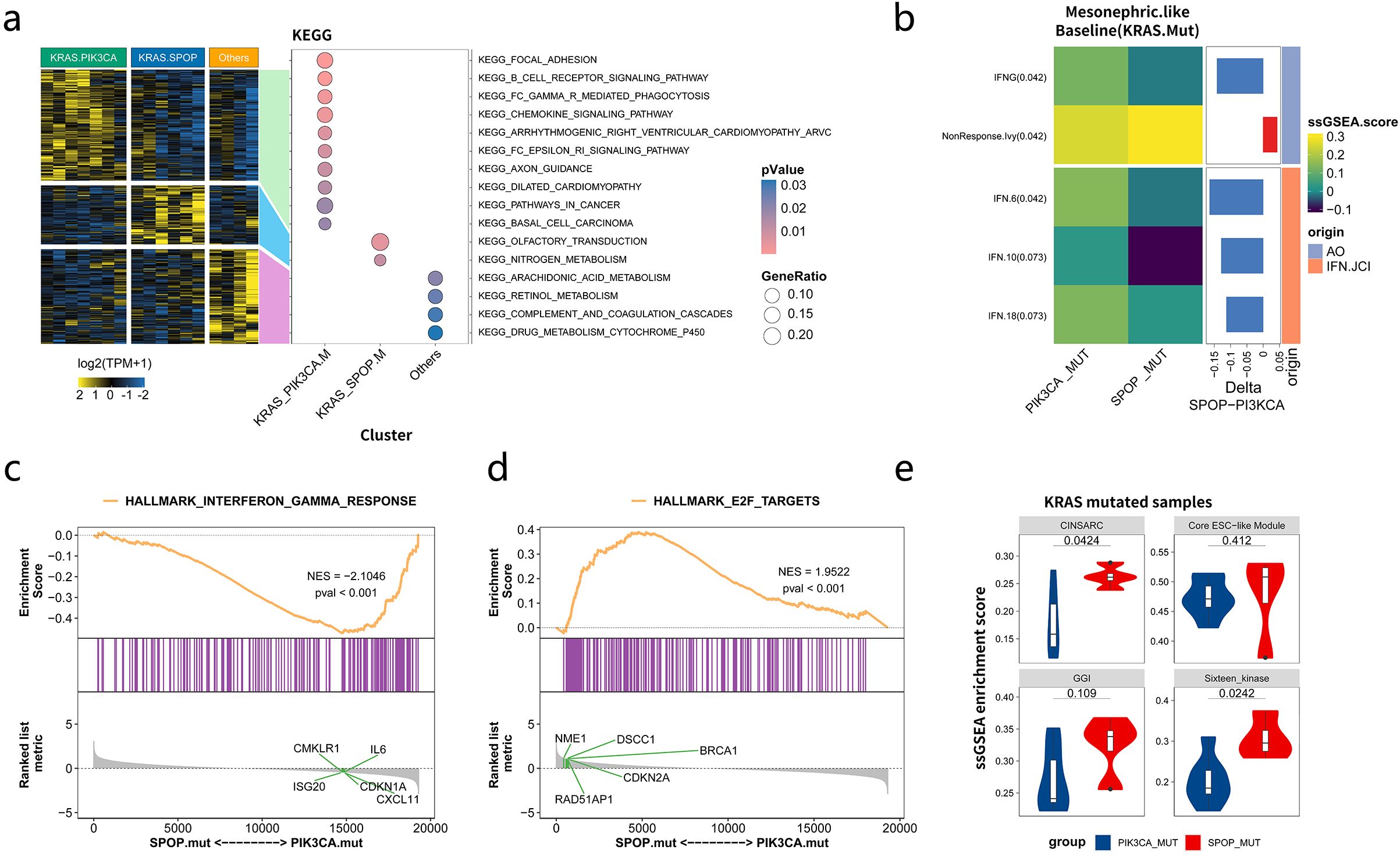 Panel of scientific visualizations including: a heatmap and dot plot identifying gene expression clusters and pathways (a); heatmap showing ssGSEA scores for mesonephric-like baseline in KRAS mutations (b); enrichment plots for interferon gamma response (c) and E2F targets (d) indicating significant enrichment scores and P-values; violin plots comparing KRAS mutated sample enrichment scores across different modules and groups (e).