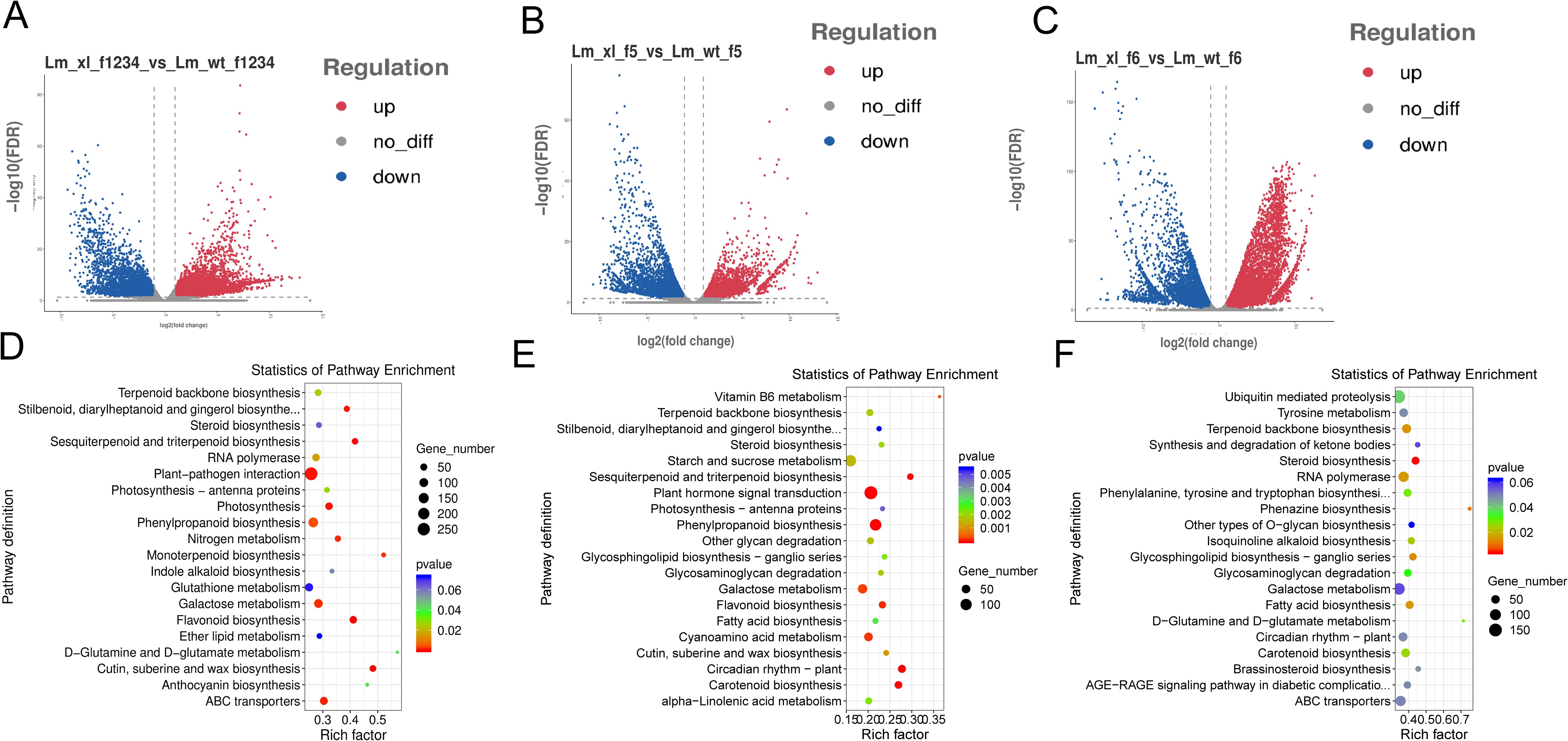 Three volcano plots (A, B, C) display gene regulation with upregulated (red), downregulated (blue), and no significant change (gray) genes based on log2 fold change and negative log10 FDR values. Three dot plots (D, E, F) show pathway enrichment statistics with pathways on the y-axis, rich factor on the x-axis, and dot size indicating gene number and color denoting p-value significance.