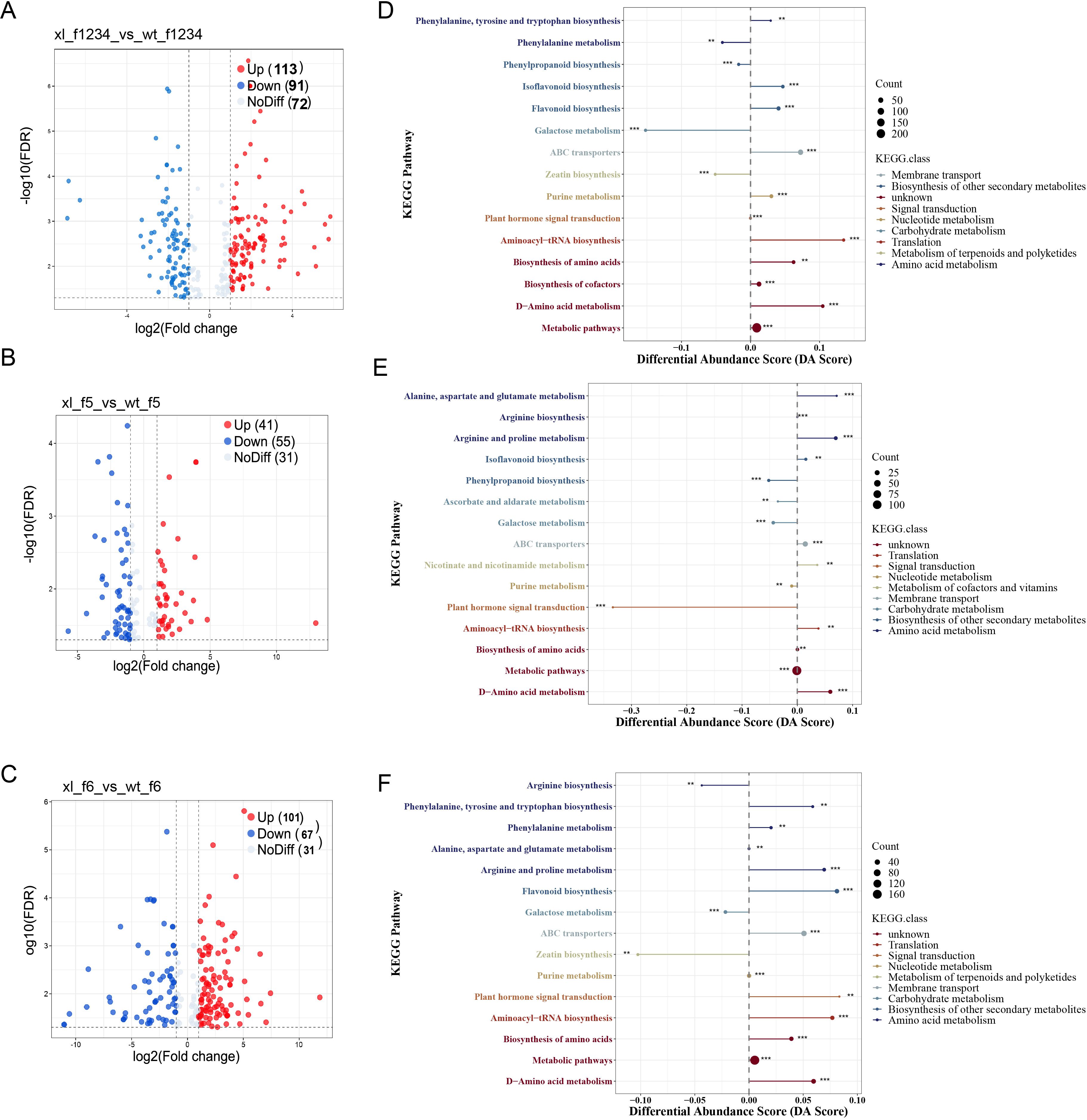 Panel A shows a volcano plot for xl_f1234_vs_wt_f1234, with significant upregulated (red) and downregulated (blue) data points. Panel B presents a volcano plot for xl_f5_vs_wt_f5 with similar annotations. Panel C features a plot for xl_f6_vs_wt_f6. Panel D is a bar chart depicting KEGG pathways with differential abundance scores, showing count sizes and KEGG class colors. Panel E and Panel F also display bar charts of KEGG pathways for different conditions with varying differential abundance scores, sizes, and colors indicating KEGG class. All plots include relevant legends and axis labels.