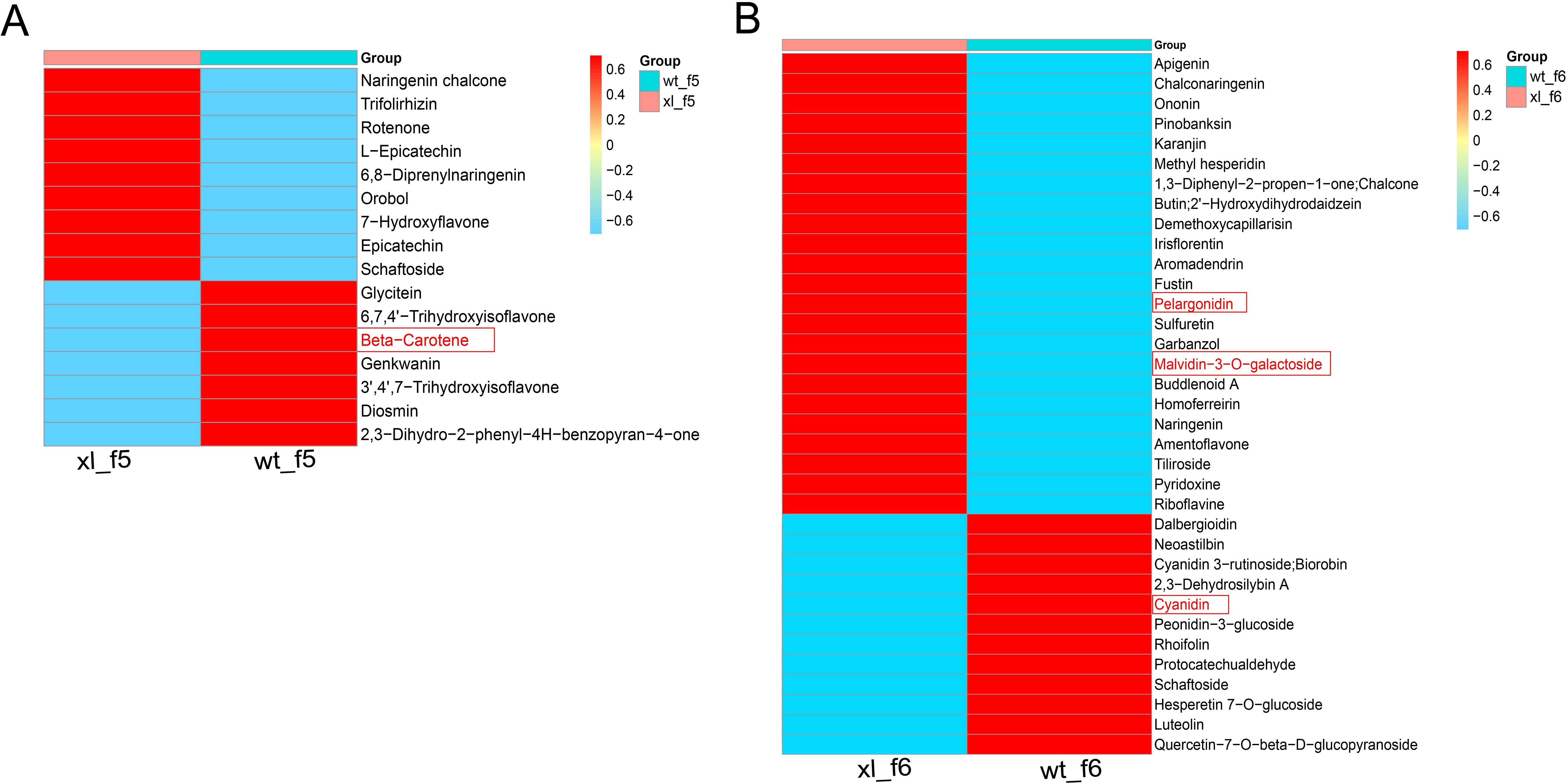 Two heatmaps labeled A and B compare different compounds across two groups: xl_f5 (red) and wt_f5 (blue) in A, and xl_f6 (red) and wt_f6 (blue) in B. The heatmaps show varying levels of compounds, with a color gradient indicating differences in values. Specific compounds like Beta-Carotene in A and Pelargonidin in B are outlined.