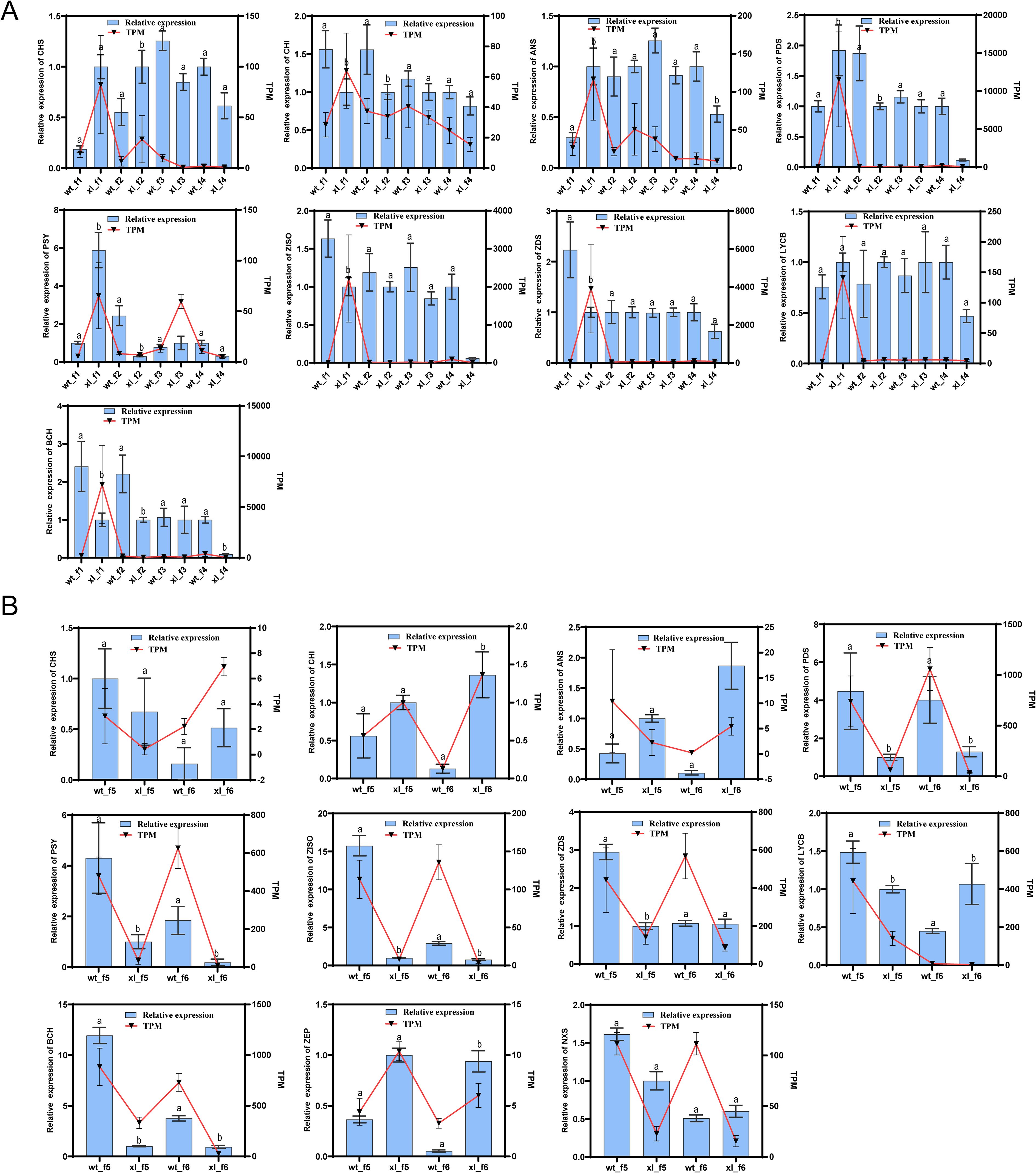Panel A and B show bar charts with overlaid line graphs, comparing relative expression and TPM of different genes. Each gene is presented in subplots with x-axes indicating time points or conditions such as “wt”, “x”, or “s.” Blue bars represent relative expression levels, while red lines indicate TPM values. Data points show variation across the stages, with some errors marked. Subplots are titled with gene names like Cdc5, Cpo, Psf1, ZED36, and UGT60, showing different trends and values across conditions.