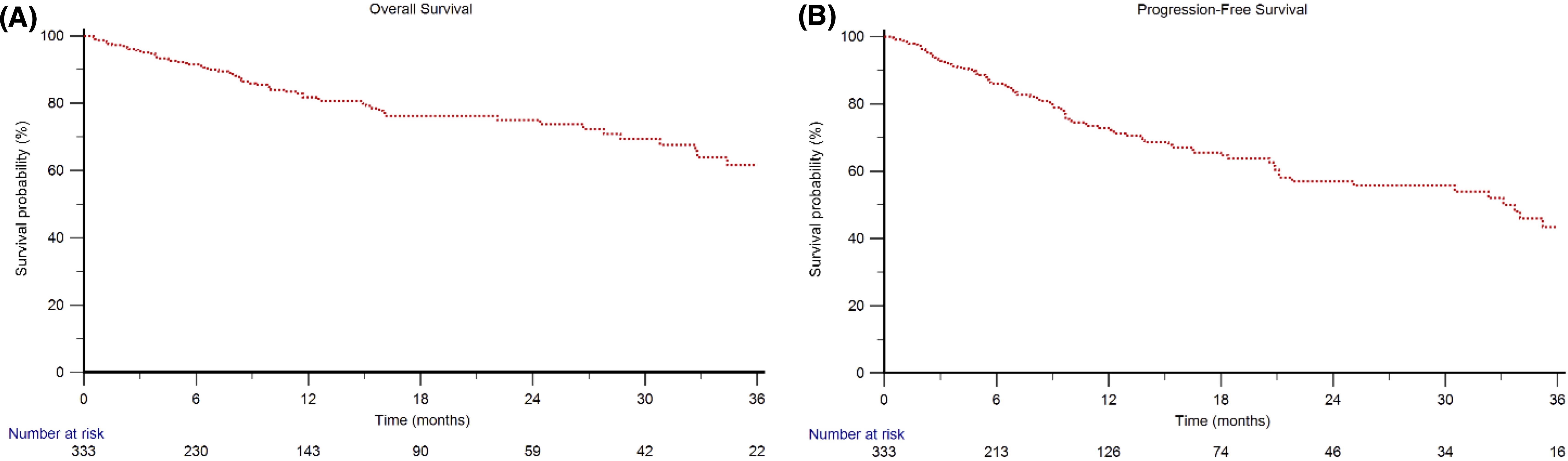 Two Kaplan-Meier survival curves are shown. Panel A represents overall survival, while Panel B shows progression-free survival. Both graphs have survival probability in percentage on the y-axis and time in months on the x-axis, ranging from zero to thirty-six months. The red dotted lines show a gradual decline in survival probability. The number at risk decreases over time in both graphs, starting at three hundred thirty-three for Panel A and three hundred thirty-three for Panel B.