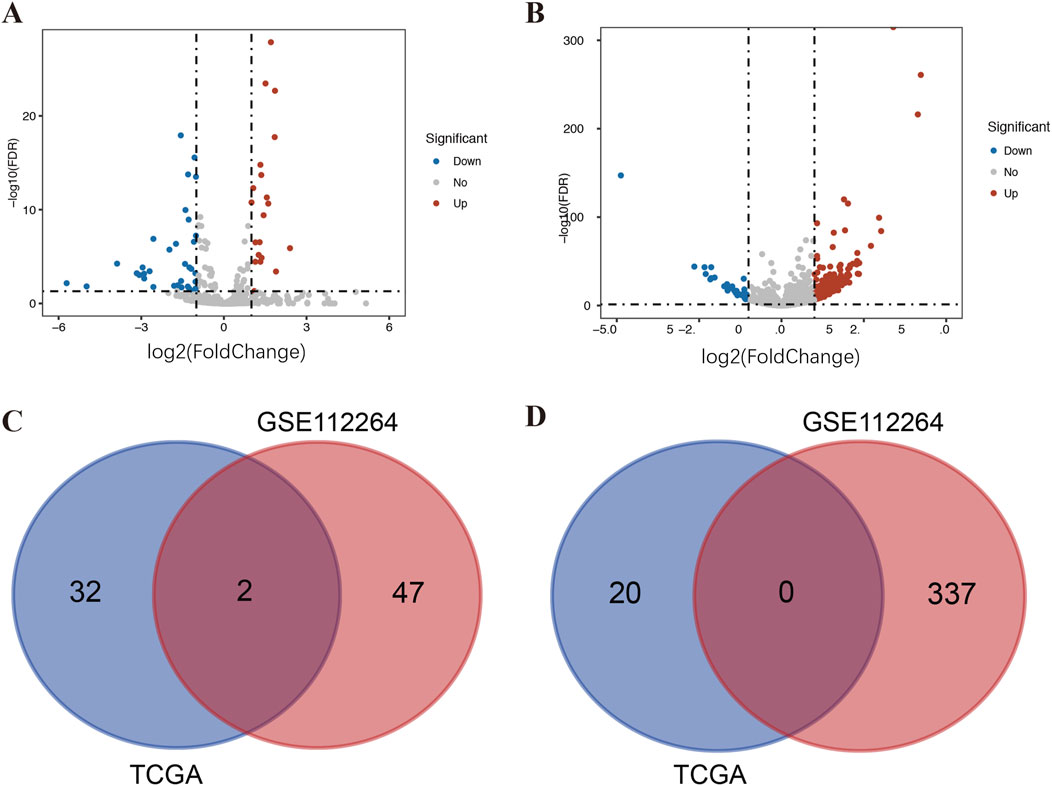 Panel A shows a volcano plot with points colored by significance: blue for downregulated, gray for no change, red for upregulated. Panel B displays a similar plot with different scale ranges. Panels C and D present Venn diagrams comparing data from TCGA and GSE112264, showing overlaps and unique elements. Panel C indicates two common elements, while Panel D shows no overlap.