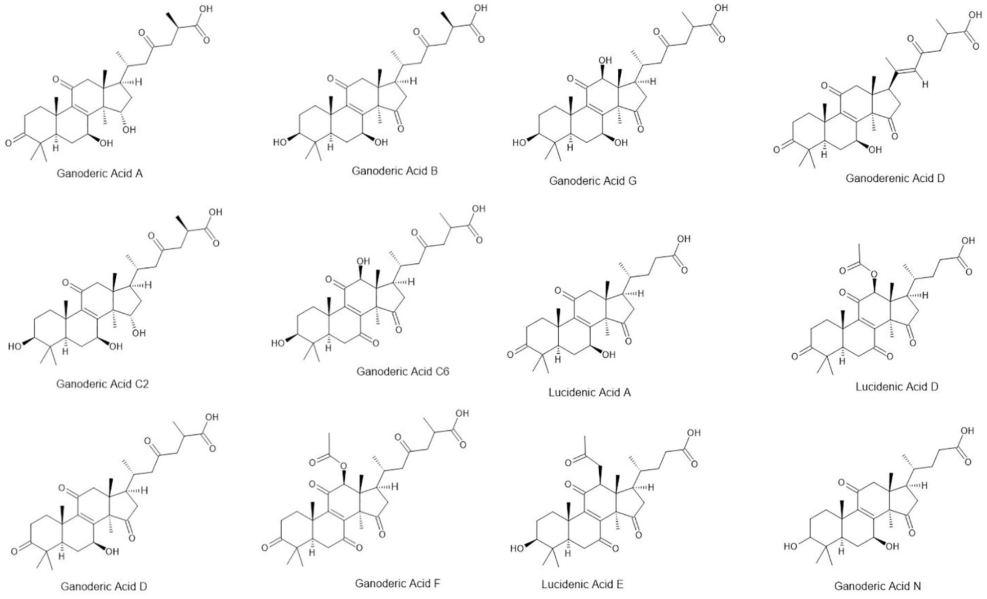 Chemical structures of various acids derived from Ganoderma, including Ganoderic Acids A, B, G, D, C2, C6, F, N, and Lucidenic Acids A, D, E. Each structure shows distinct molecular configurations.