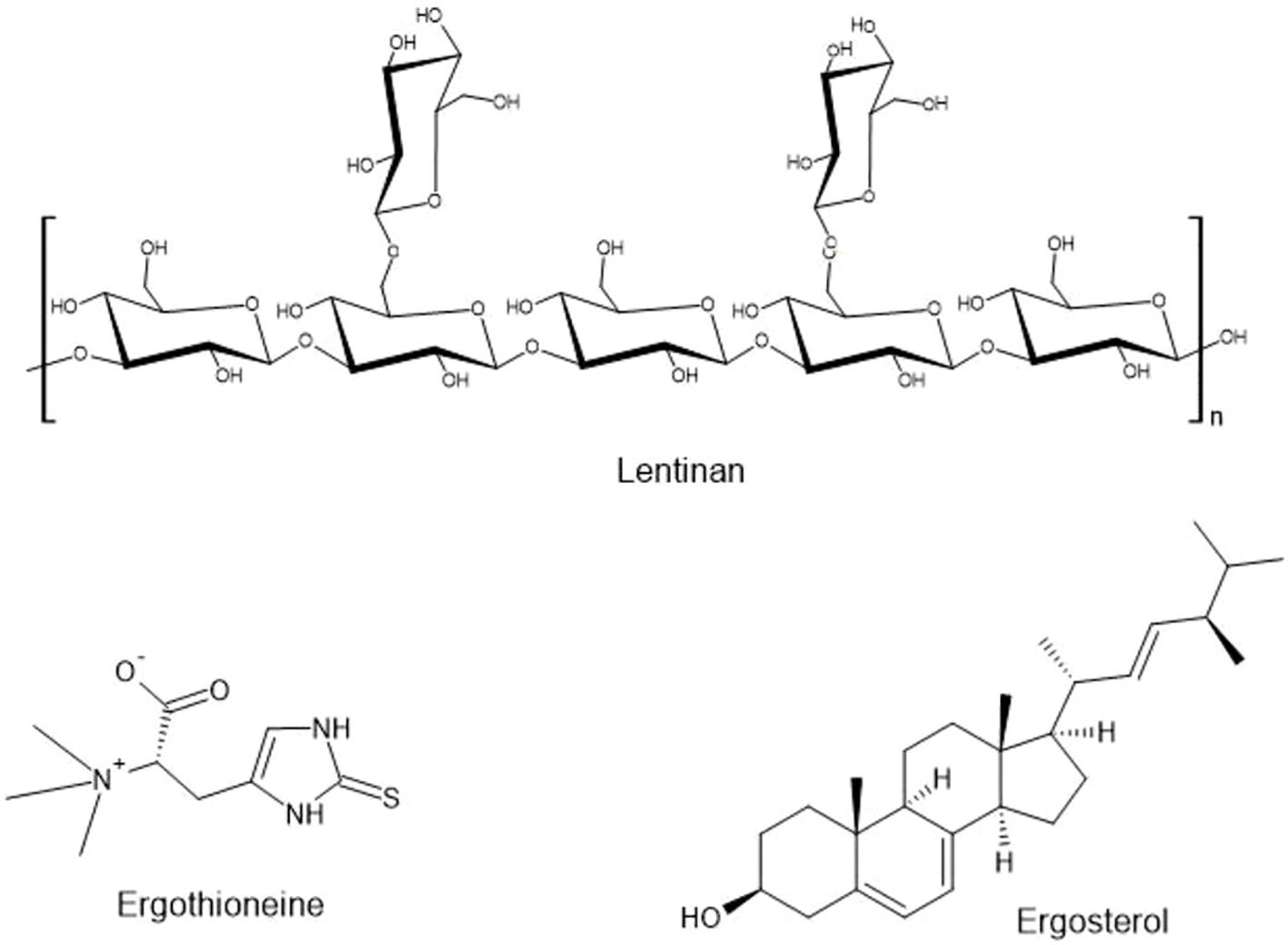 Chemical structures of Lentinan, Ergothioneine, and Ergosterol. Lentinan shows a repeating polysaccharide structure. Ergothioneine has a sulfur-containing heterocyclic ring. Ergosterol displays a steroidal framework with a hydroxyl group.