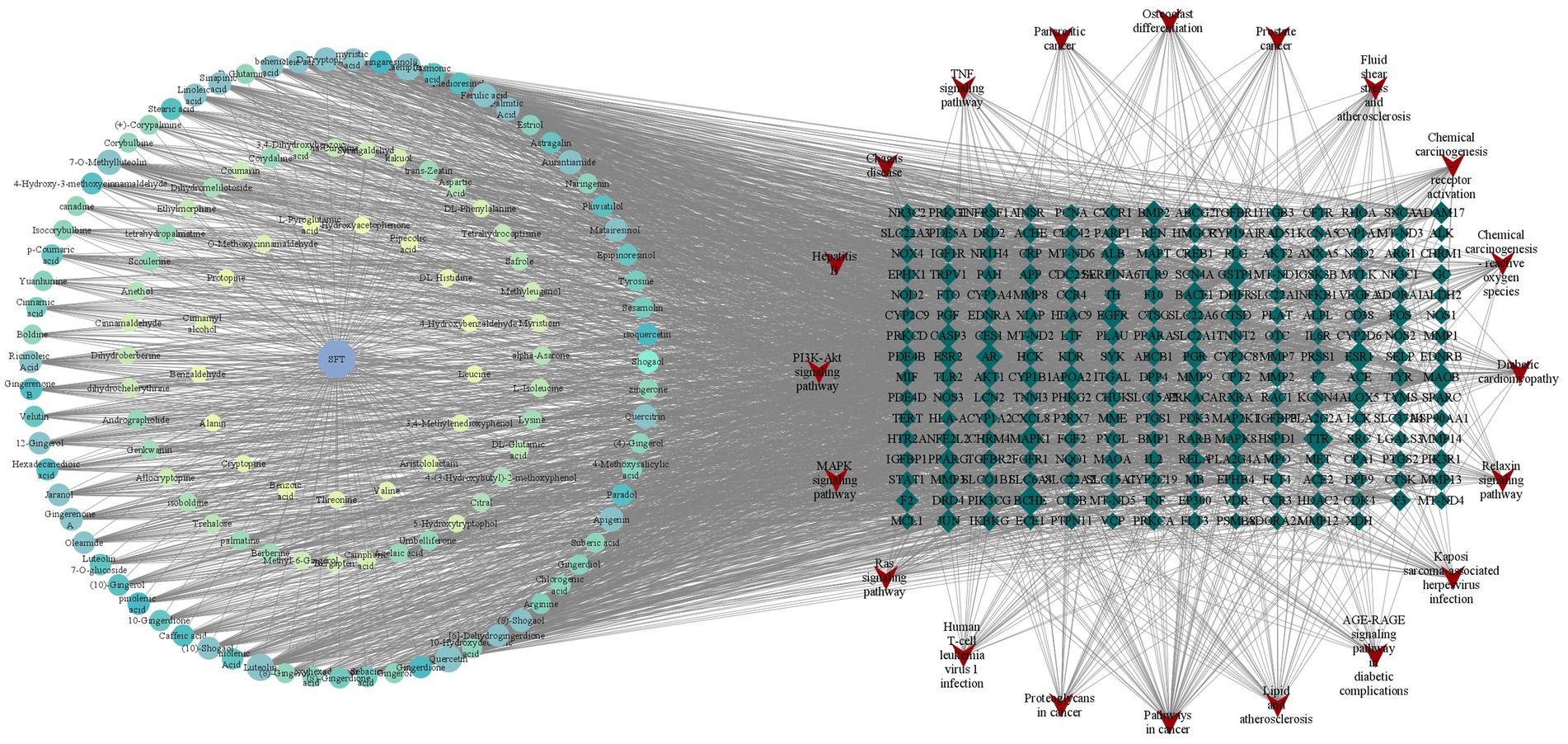 Network diagram depicting interactions among various compounds, genes, and pathways. Circular nodes on the left represent chemical compounds connected through lines to hexagonal nodes indicating genes. Red arrows on the right signify different signaling pathways and diseases. Complex web of connections illustrates the interrelated nature of biochemical processes.