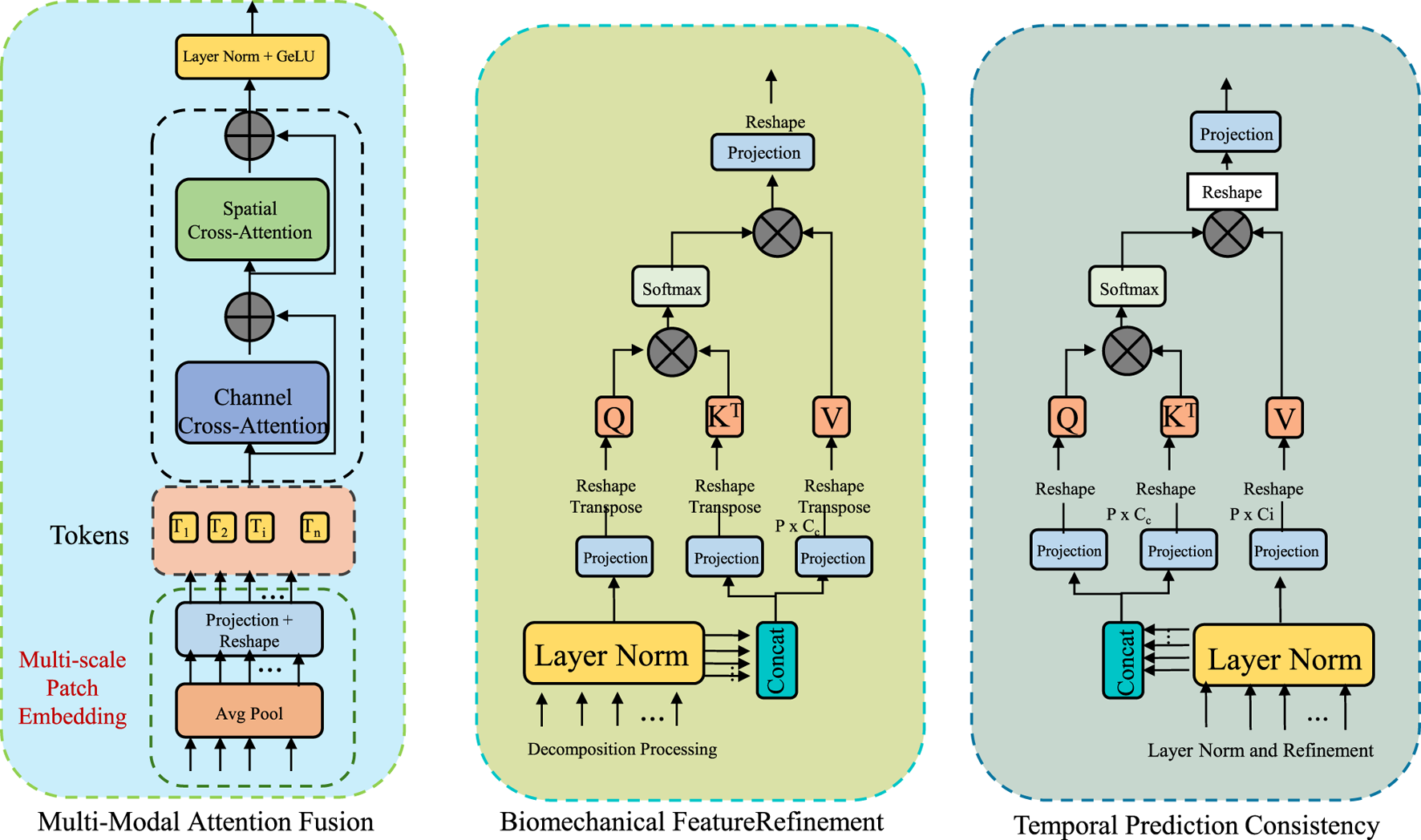 Diagram illustrating a three-part neural network process: Multi-Modal Attention Fusion, Biomechanical Feature Refinement, and Temporal Prediction Consistency. The left section involves spatial and channel cross-attention with tokens and embedding. The middle section shows a query, key, and value system for feature refinement with a focus on layer normalization and concatenation. The right section emphasizes temporal consistency using a similar query, key, and value system with layer normalization and projection.