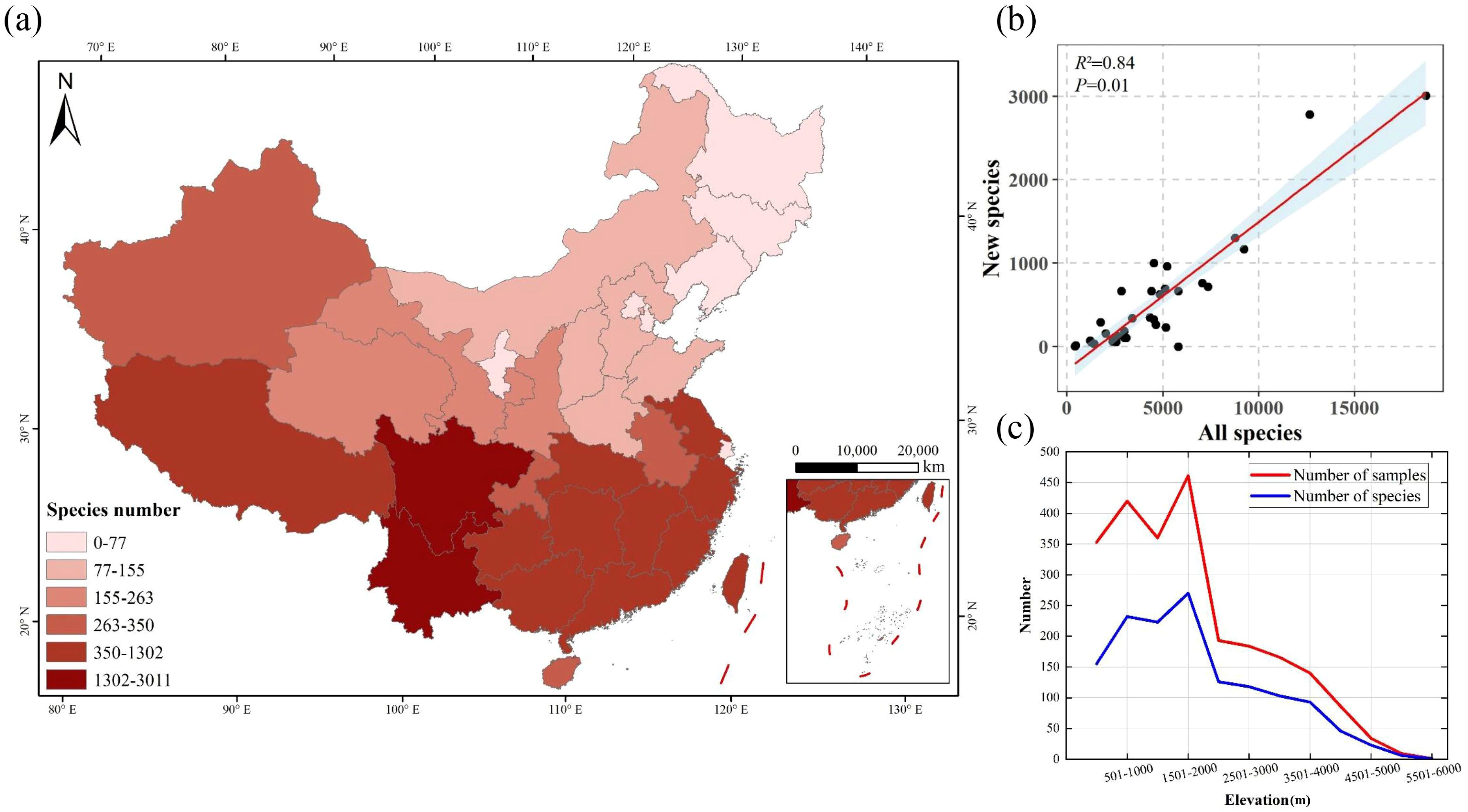 Map of China (a) showing species numbers by region, with darker shades indicating more species. Scatter plot (b) shows a positive correlation between new species and total species, with R-squared value 0.84. Line graph (c) depicts the relationship between elevation and the number of samples and species, showing a decline with higher elevation.