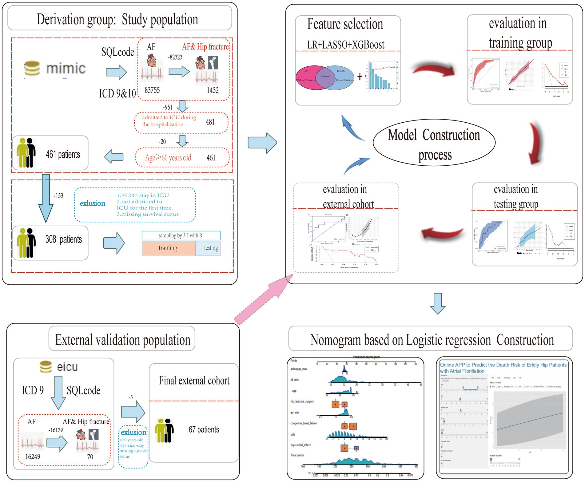 Flowchart illustrating the model construction process for predicting mortality in elderly patients with atrial fibrillation and hip fracture. It includes four parts: study population derivation and exclusion criteria, model feature selection and evaluation in various groups, external validation cohort, and nomogram construction using logistic regression. Key metrics and evaluation graphs are shown for each phase, indicating data flow from the mimic and eicu databases to the final model evaluation.
