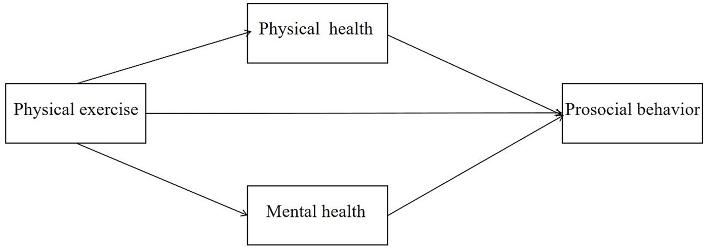 Flowchart showing how physical exercise influences prosocial behavior through physical and mental health. Physical exercise leads to physical and mental health, both contributing to prosocial behavior.