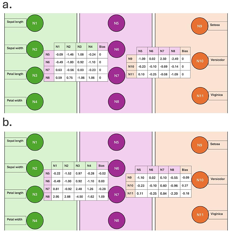 Diagram showing two neural network architectures labeled a and b. Both have three layers with nodes: input (N1-N4), hidden (N5-N8), and output (N9-N11). Weights and biases differ between a and b, with N9 labeled Setosa, N10 Versicolor, and N11 Virginica. Each network processes four features: sepal length, sepal width, petal length, and petal width.
