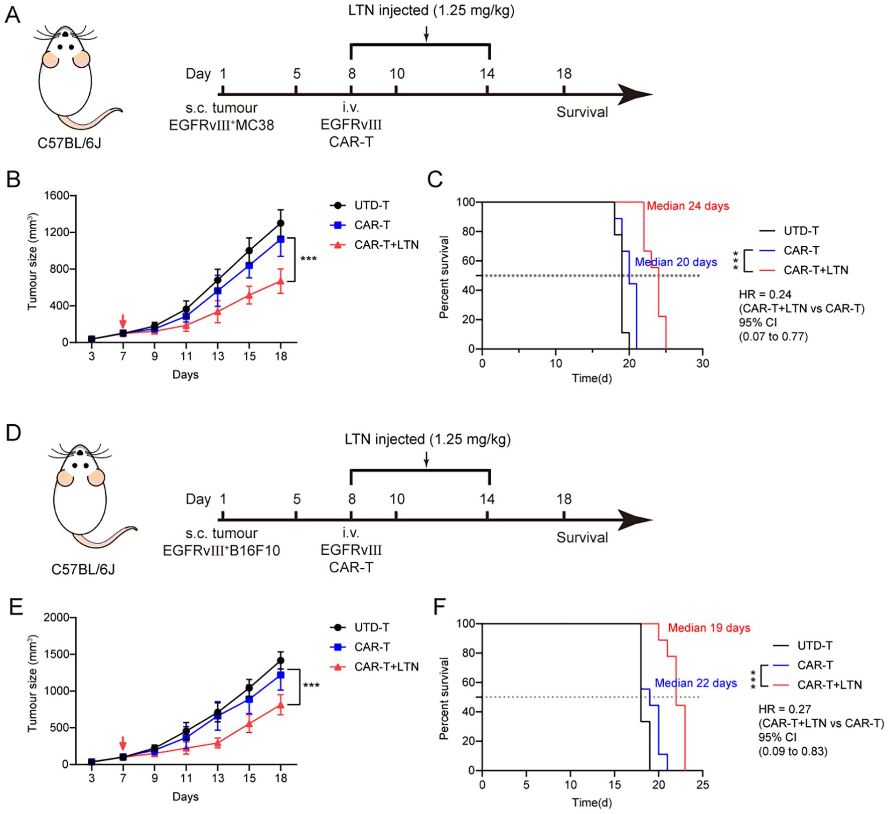 Diagram showing experimental data from two studies with C57BL/6J mice, featuring graphs and charts. Study timelines (A, D) illustrate EGFRvIII tumor challenges and LTN injections. Graphs (B, E) depict tumor growth over time with UTD-T, CAR-T, and CAR-T plus LTN treatments. Survival charts (C, F) show median survival differences, highlighting enhanced outcomes with CAR-T plus LTN.