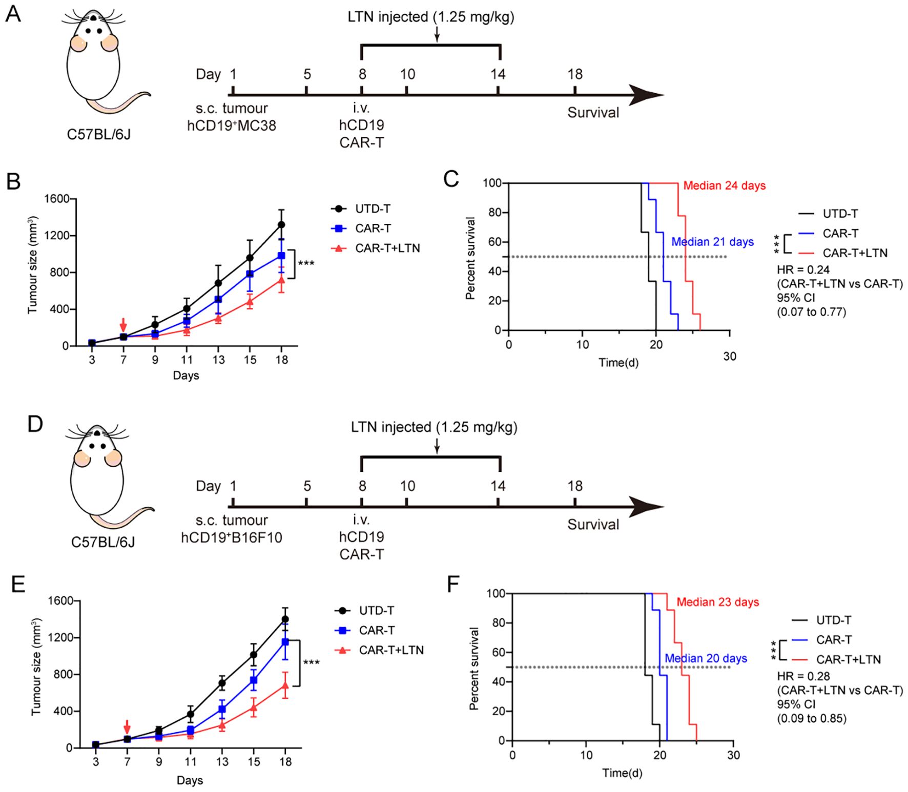 Experimental setup and results for the C57BL/6J mouse model. Panels A and D show the timeline for tumor inoculation and treatments, including LTN injections and CAR-T therapy. Panels B and E display graphs comparing tumor growth over time among three groups: UTD-T, CAR-T, and CAR-T+LTN, with significant reduction in tumor size in the CAR-T+LTN group. Panels C and F show Kaplan-Meier survival curves with improved survival in the CAR-T+LTN group, indicated by extended median survival days and lower hazard ratios compared to CAR-T alone.