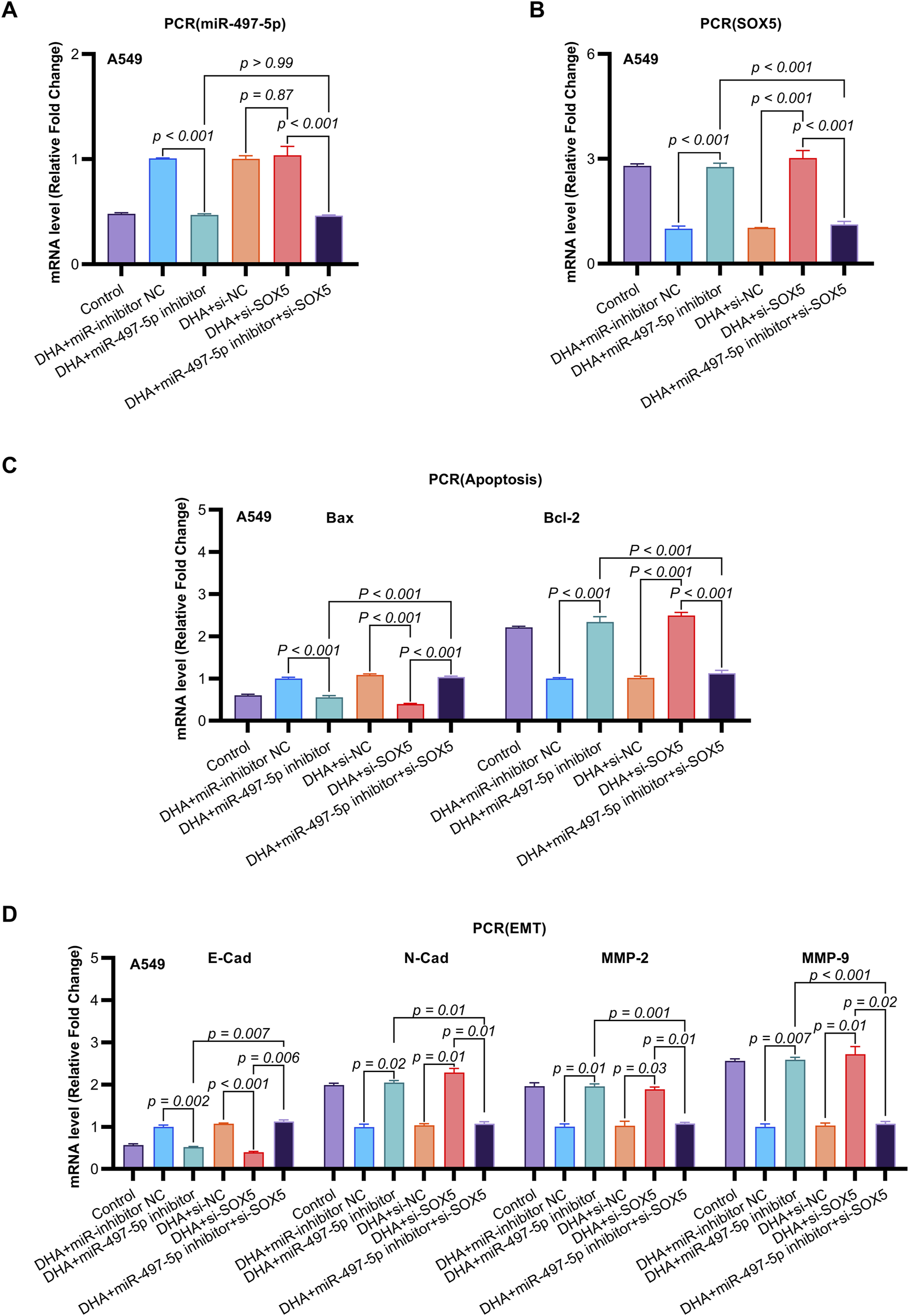Bar graphs illustrating mRNA levels (relative fold change) in A549 cells across different treatments. Panel A shows PCR results for miR-497-5p. Panel B presents data for SOX5. Panel C displays apoptosis markers, Bax and Bcl-2. Panel D highlights EMT markers E-Cad, N-Cad, MMP-2, and MMP-9. Significant differences between treatments are indicated with p-values.