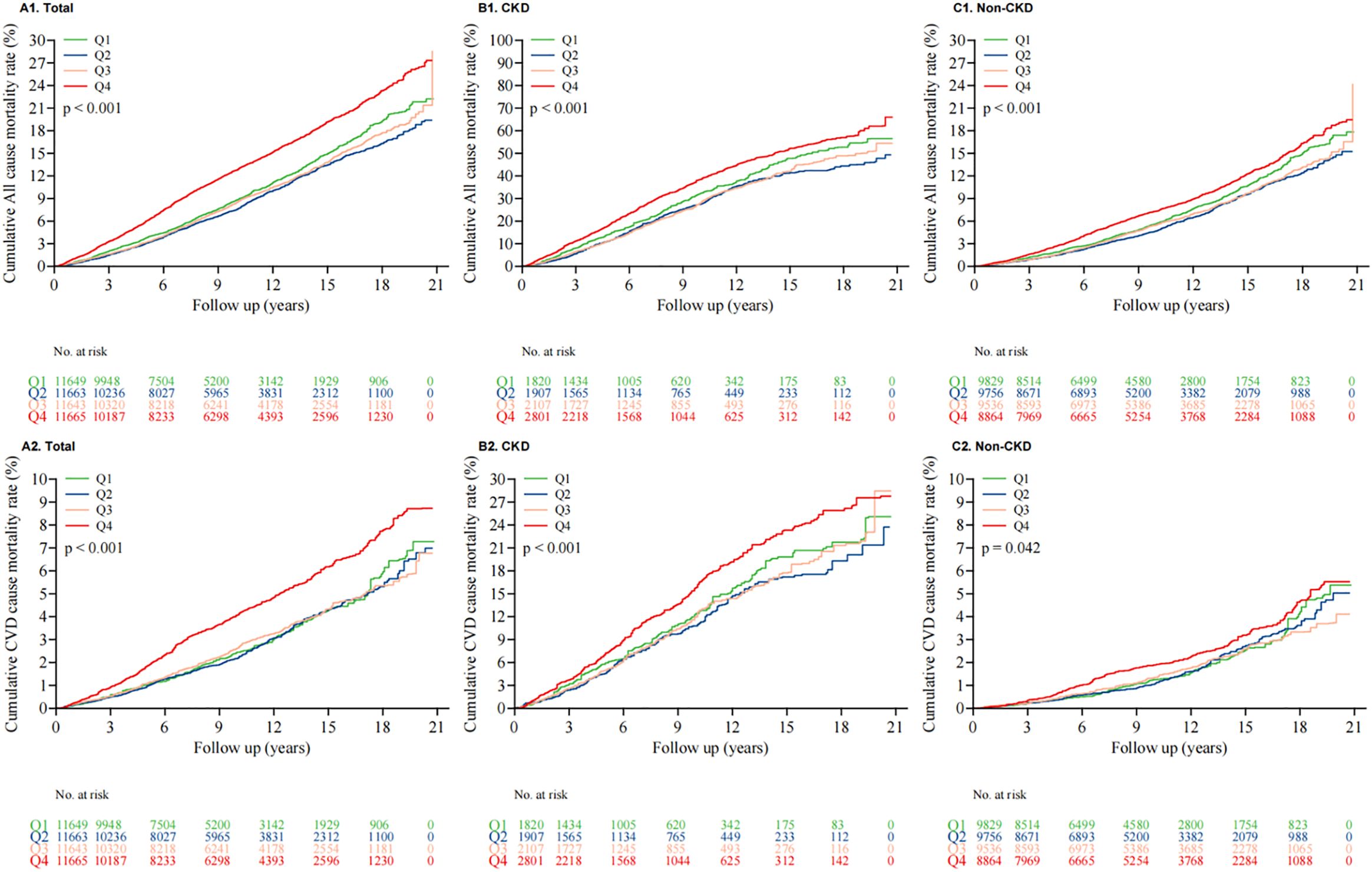 Six graphs show cumulative mortality rates over 21 years, divided into categories such as overall, chronic kidney disease (CKD), and non-CKD, with lines representing quartiles (Q1 to Q4). The top graphs depict all-cause mortality; the bottom graphs display cardiovascular disease (CVD) mortality. The red line (Q4) consistently shows a higher mortality rate. Statistical significance is noted with p-values below 0.05 for most graphs, indicating a stronger association in the Q4 group. Numbers at risk are listed below each graph.