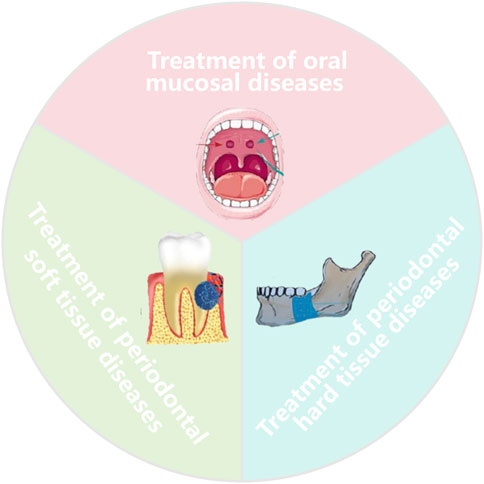 Circular infographic divided into three sections. Top: Treatment of oral mucosal diseases, showing an open mouth. Bottom left: Treatment of periodontal soft tissue diseases, displaying a tooth with gums. Bottom right: Treatment of periodontal hard tissue diseases, depicting a jawbone.