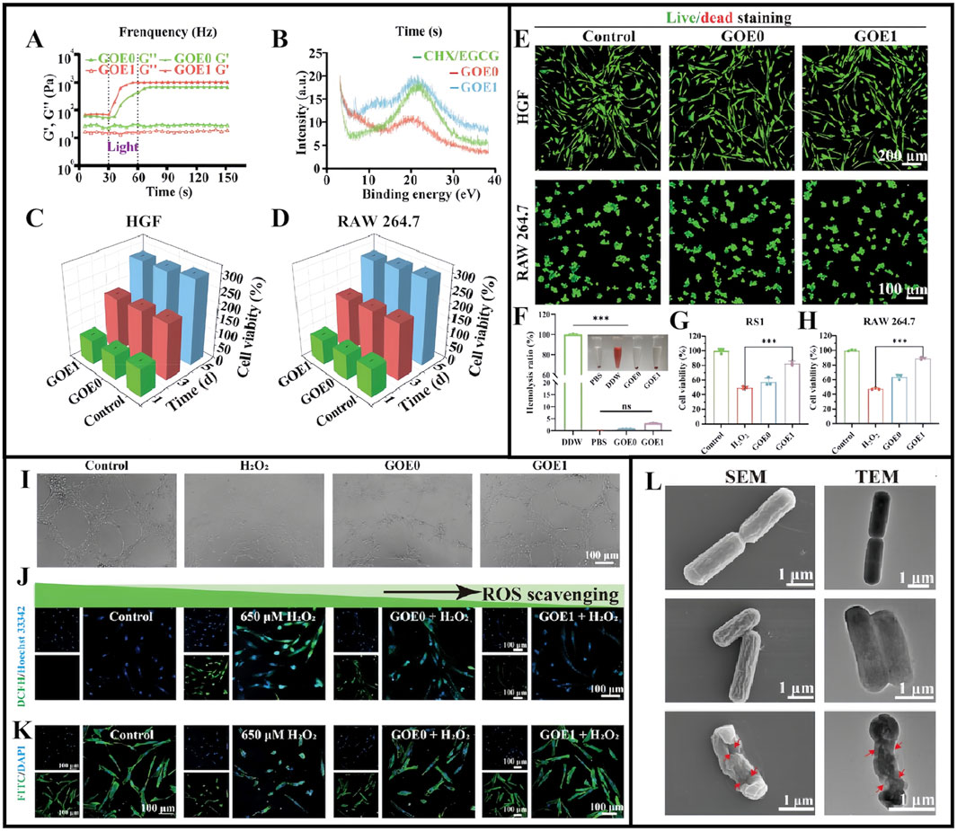 Multiple panels illustrate scientific data related to cell viability and imaging. Panels A and B show line graphs with frequency and time data. Panels C and D present 3D bar graphs of cell viability for HGF and RAW 264.7 cells. Panel E displays live/dead cell staining images with different treatments. Panel F is a bar graph of hemolysis ratios. Panels G and H display bar graphs comparing cell viability among treatments. Panel I shows microscopic images of cells under various conditions. Panels J and K present fluorescent images demonstrating ROS scavenging effects. Panel L contains SEM and TEM images of particles.