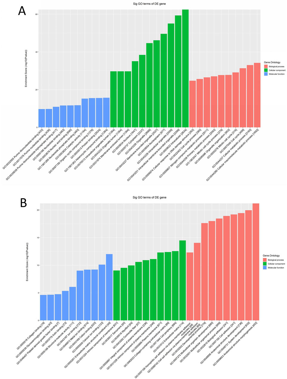Bar charts labeled A and B display significant Gene Ontology (GO) terms of differentially expressed (DE) genes. The x-axes show GO identifiers and descriptions, while the y-axes represent enrichment scores (log10 p-values). Bars are color-coded: blue for molecular function, green for cellular component, and red for biological process. Chart A ranges up to 60, and chart B up to 20 on the y-axis, indicating varying enrichment levels.