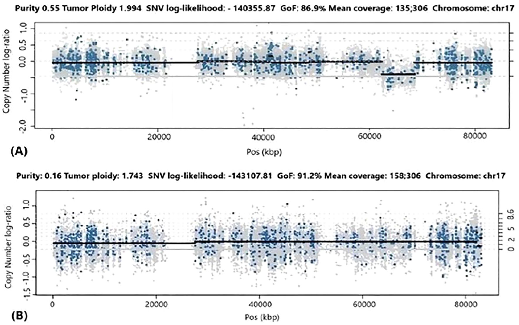 Figure with two plots illustrating genomic analysis using PureCN software. Both plots display the log2 copy number ratio across chromosome 17. Panel A corresponds to the cardiac myxoma sample, with 55% tumor purity, showing a clear loss of heterozygosity (LOH) in the 17q24.2 region, which includes the PRKAR1A gene. Panel B shows the brain lesion with only 16% tumor purity, where no LOH or copy number variation (CNV) is detected in the same chromosomal region. The horizontal axis represents chromosomal position in kilobases, and the vertical axis indicates the copy number log ratio, reflecting genomic stability or alteration.