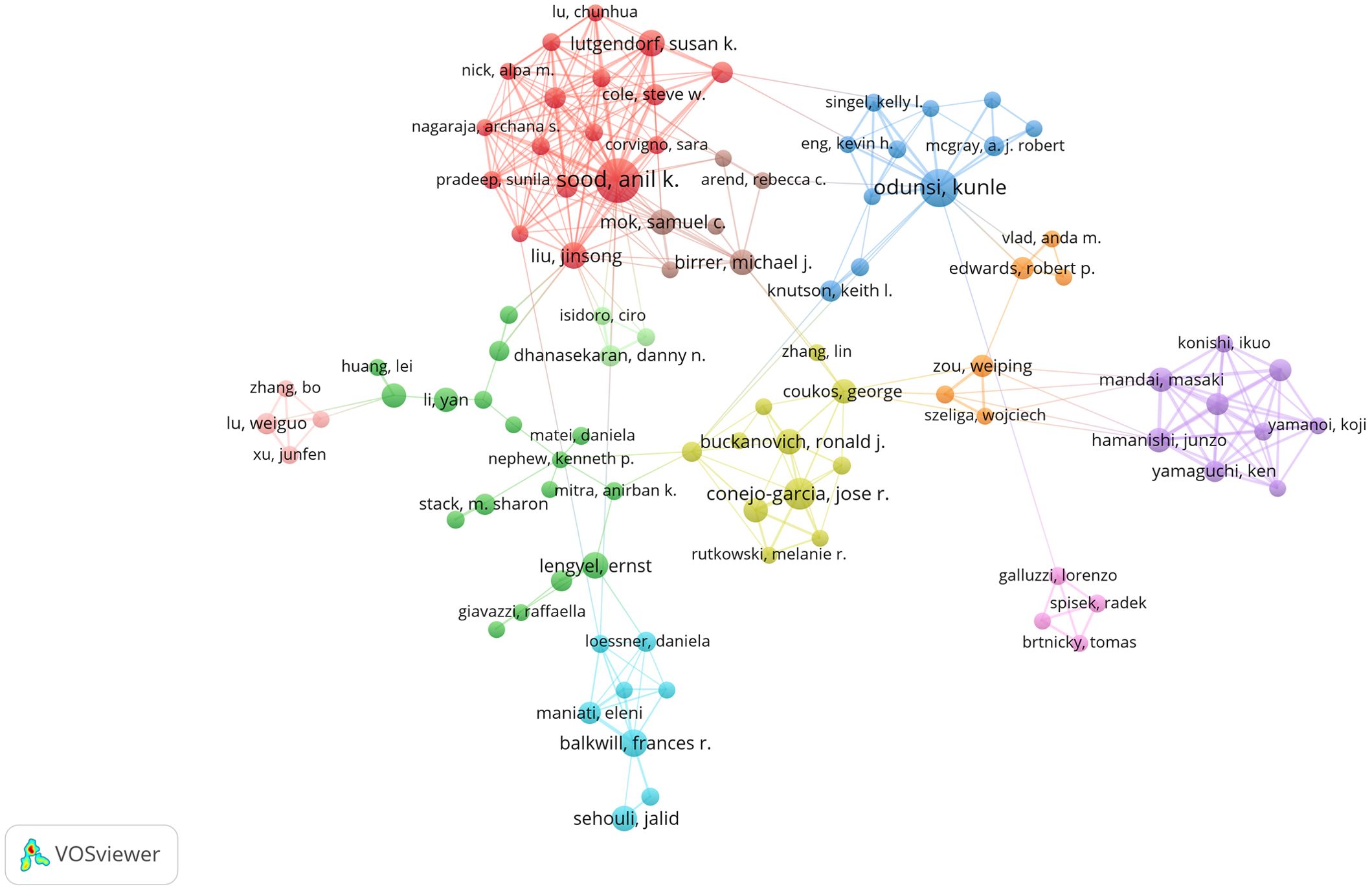 Network visualization depicting collaborative connections among researchers, mapped by different colored nodes representing various groups. Names are displayed adjacent to nodes, highlighting relationships through connecting lines. The software used is VOSviewer.
