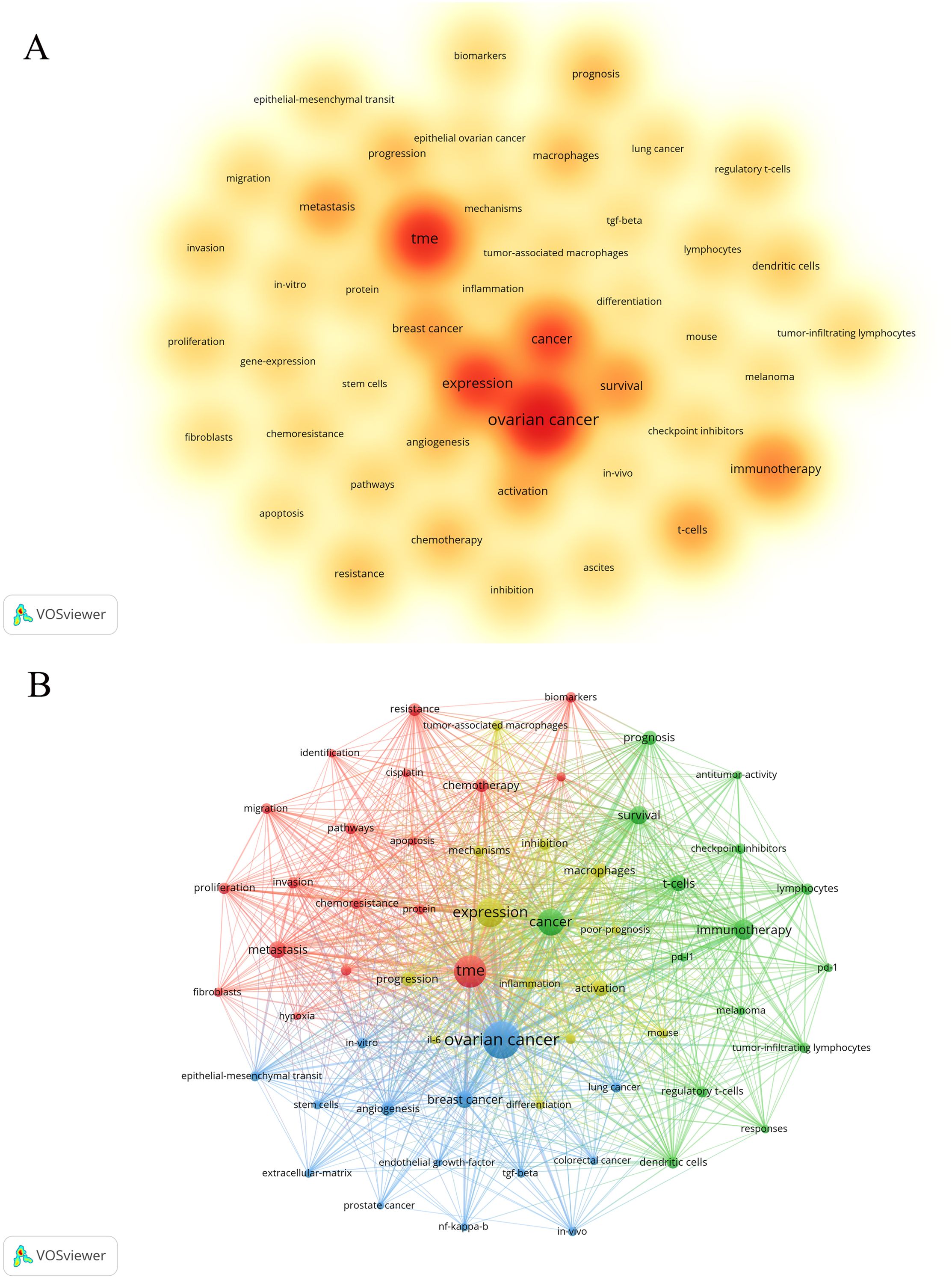 Image A shows a heatmap visualization with the term “ovarian cancer” at the center, surrounded by related terms like “expression,” “cancer,” and “tme,” highlighted in red and yellow tones, indicating their relevance and frequency. Image B presents a network diagram with interconnected nodes representing terms such as “chemotherapy,” “prognosis,” and “metastasis,” with lines indicating relationships. Both images are generated using VOSviewer.