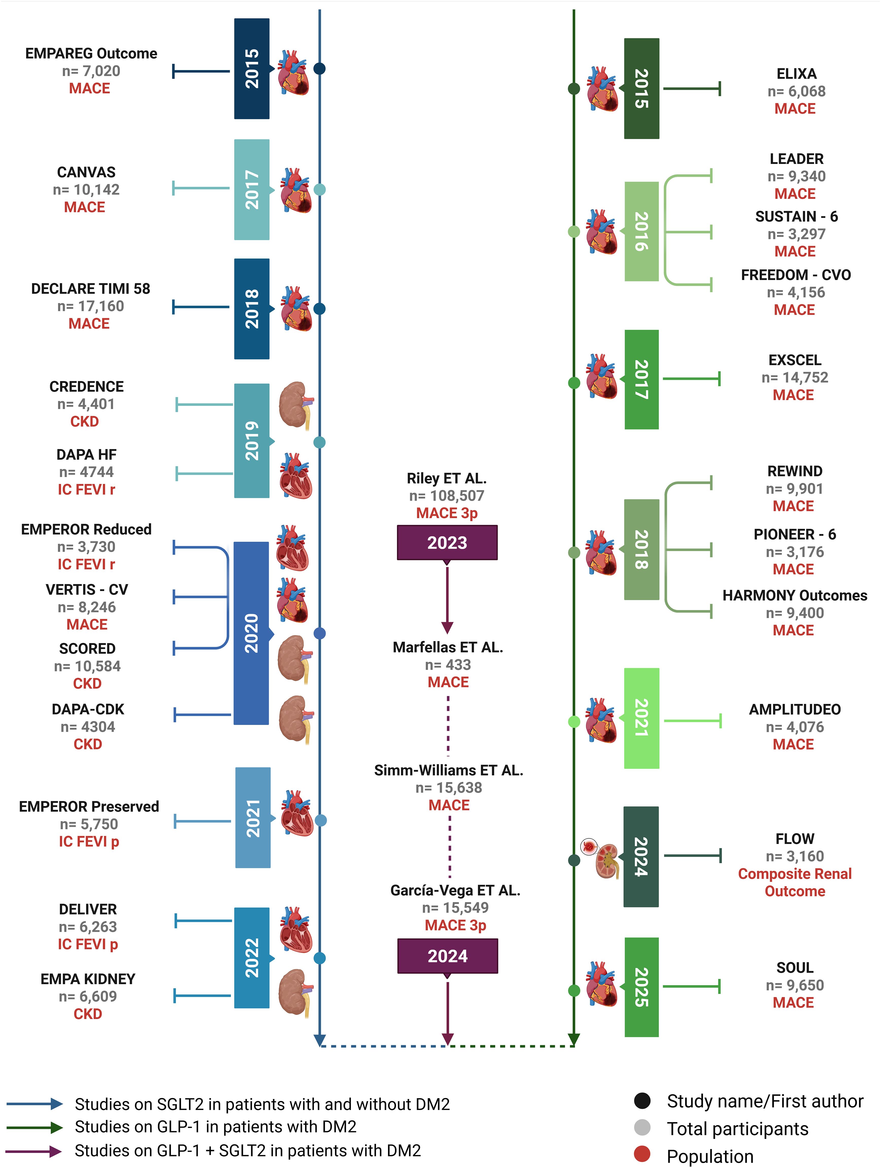 Timeline of clinical studies from 2015 to 2025 on SGLT2 and GLP-1 inhibitors in patients with and without diabetes mellitus type 2 (DM2). The left side lists SGLT2 studies, while the right side shows GLP-1 and combined studies. Icons represent organs affected, such as heart and kidneys. Each study is marked with the year, sample size, and main outcome, including MACE, CKD, and IC FEVI. Key indicates study type, participants, and population with color-coded arrows.