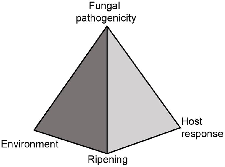 www.frontiersin.org