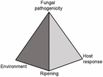 www.frontiersin.org