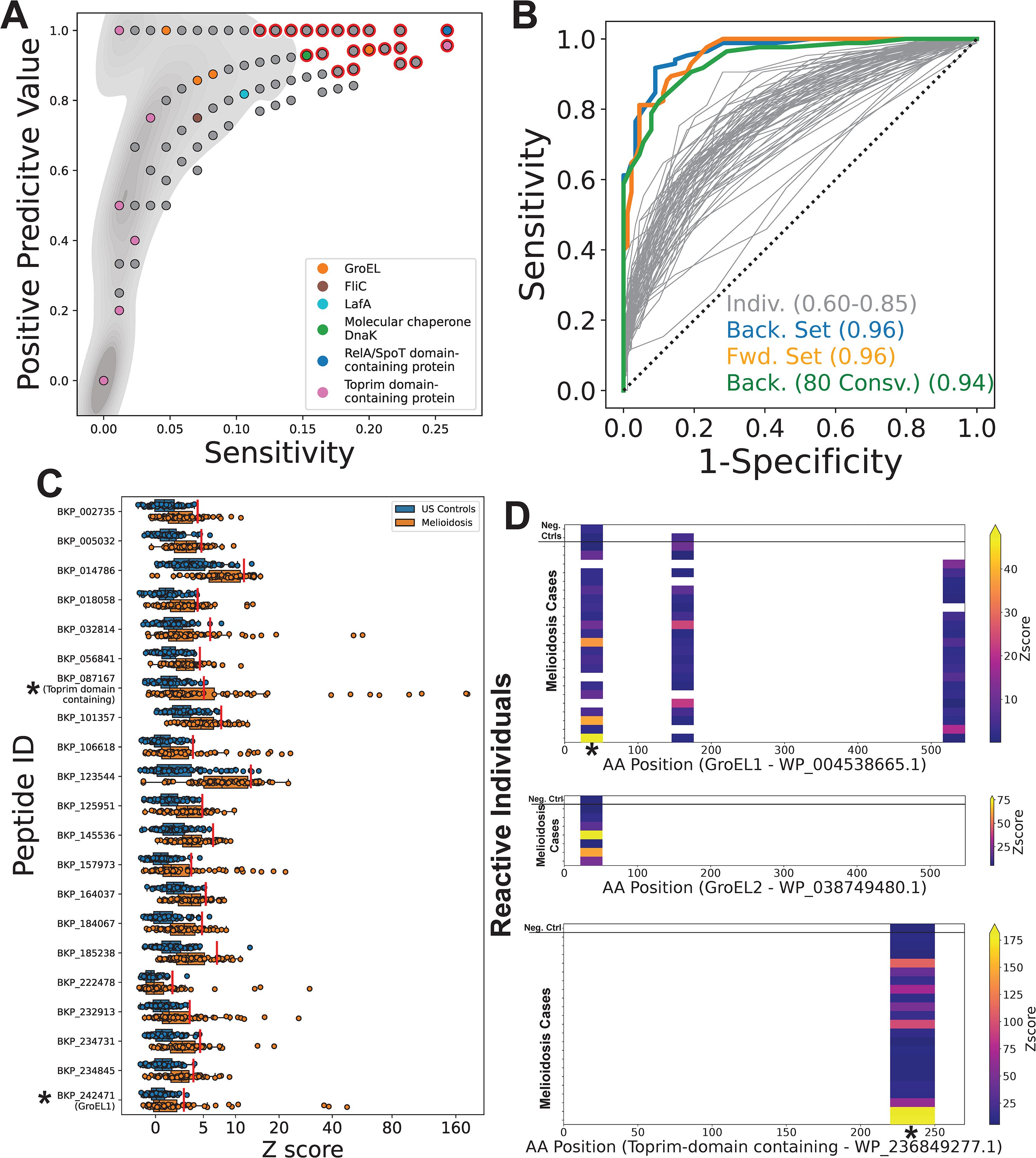 Four-panel image showing various data visualizations related to PepSeq analysis using the BKP1 library. Panel A displays a scatter plot of positive predictive value against sensitivity with data points in different colors representing different proteins. Panel B contains a line graph of sensitivity plotted against one minus specificity, with lines indicating individual and aggregate results. Panel C presents a dot plot of Z scores for different peptide IDs, comparing US controls and Melioidosis cases. Panel D consists of heat maps showing amino acid positions against Z scores for specific proteins in Melioidosis and US control cases. A key indicates the color coding for proteins in panels A and D.